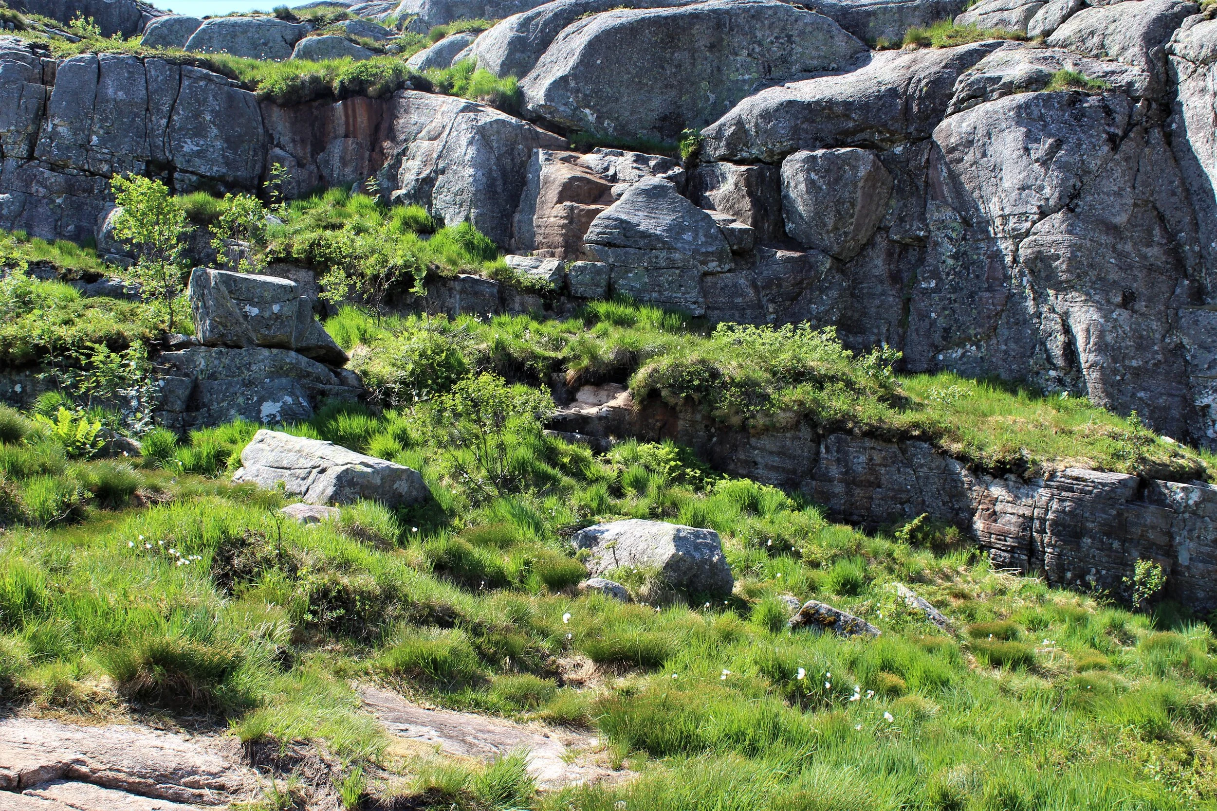 The Impact of Calling Part Four