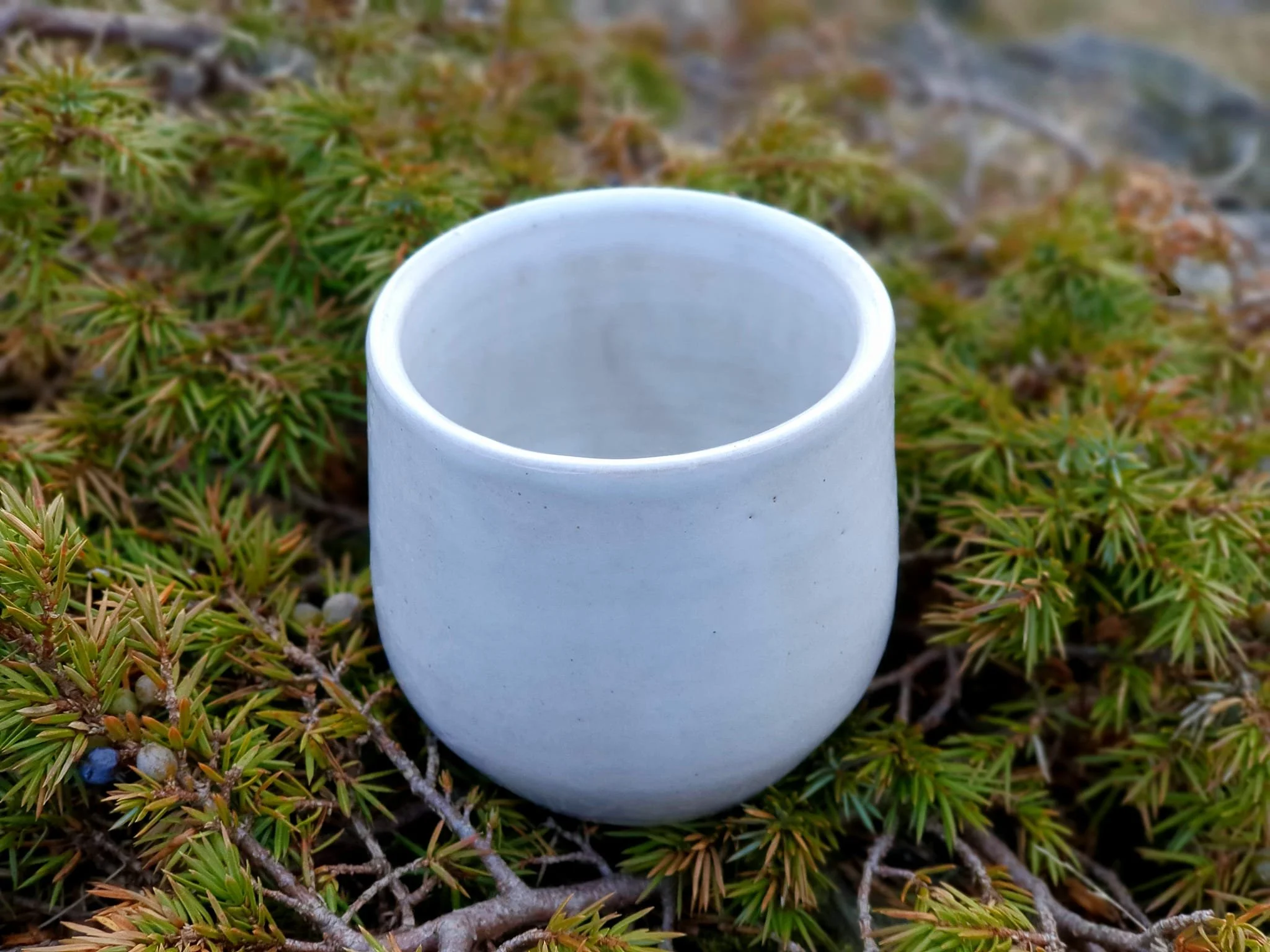 Picture at Hafrsfjord Cup.jpg