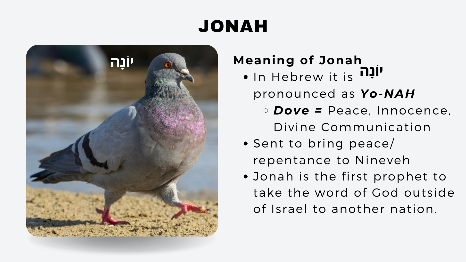 Bible & Coffee (1).png