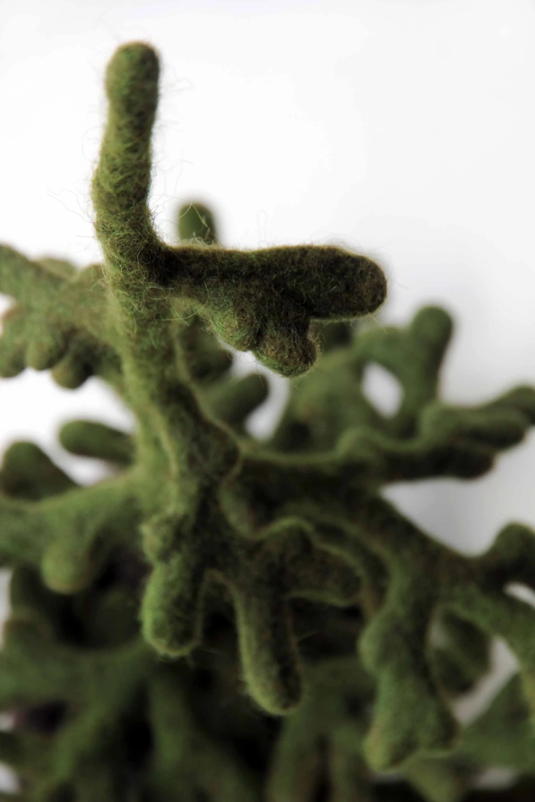 Hemlock detail.jpg