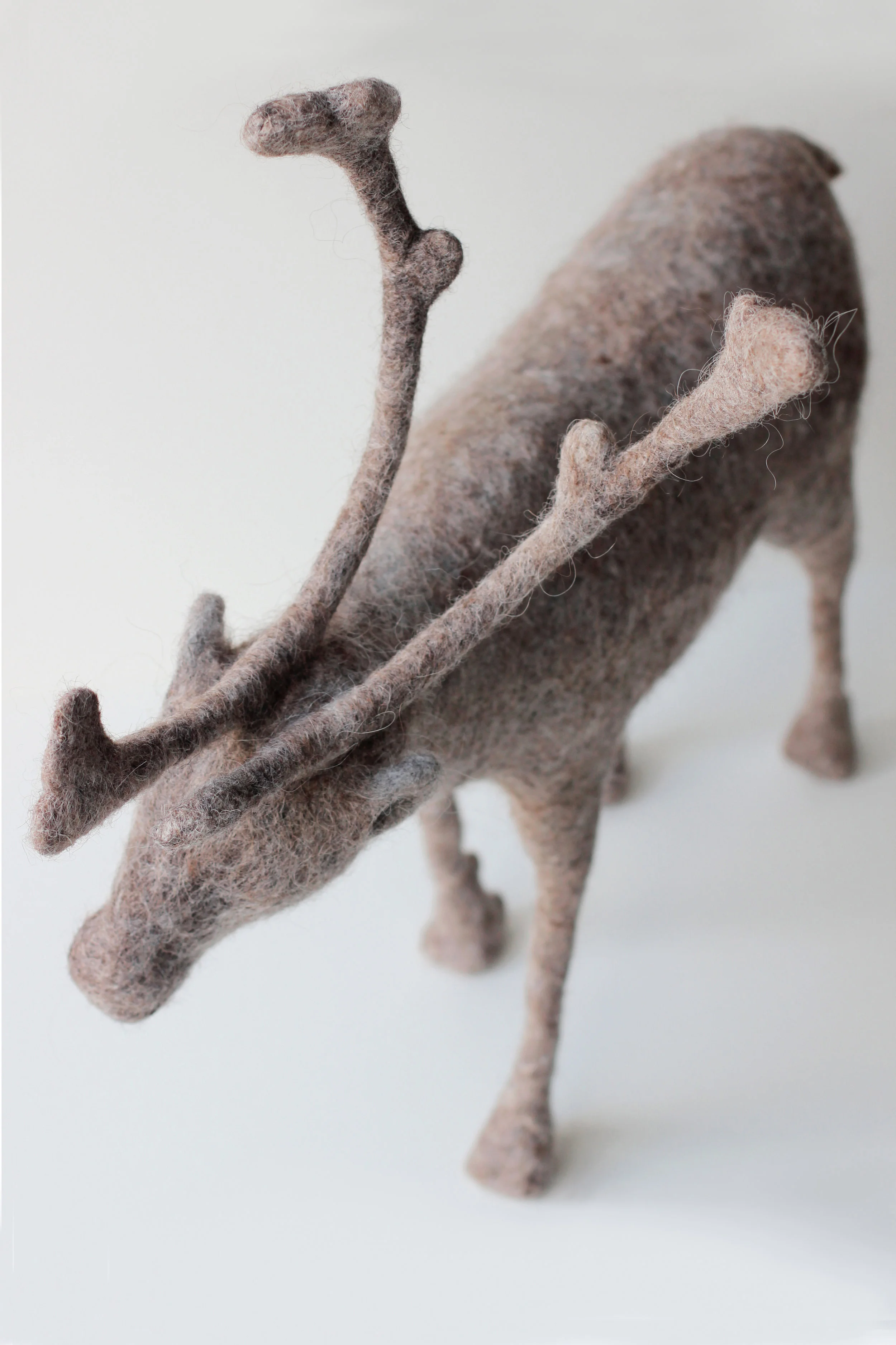 CARIBOU detail.jpg