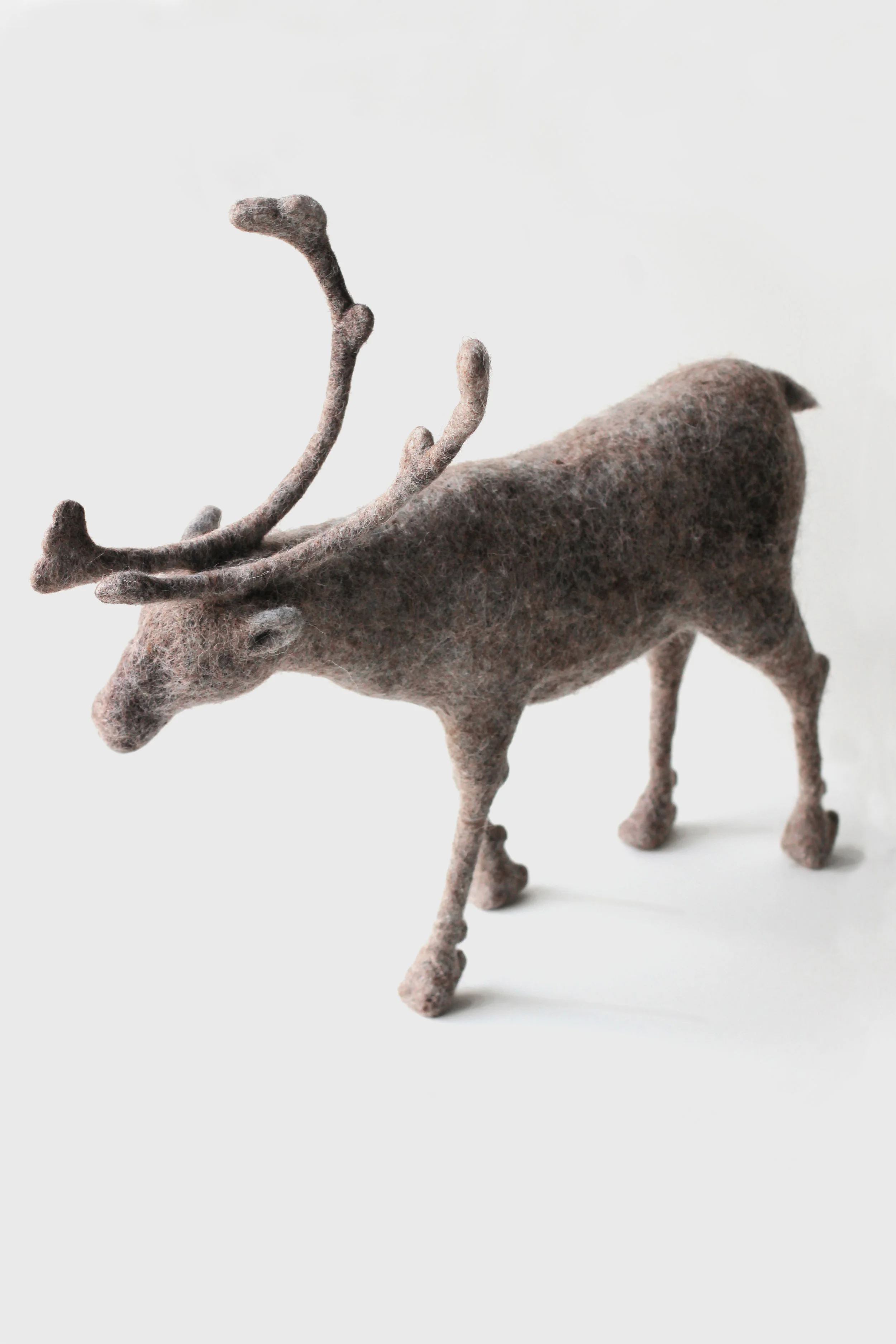 CARIBOU.jpg