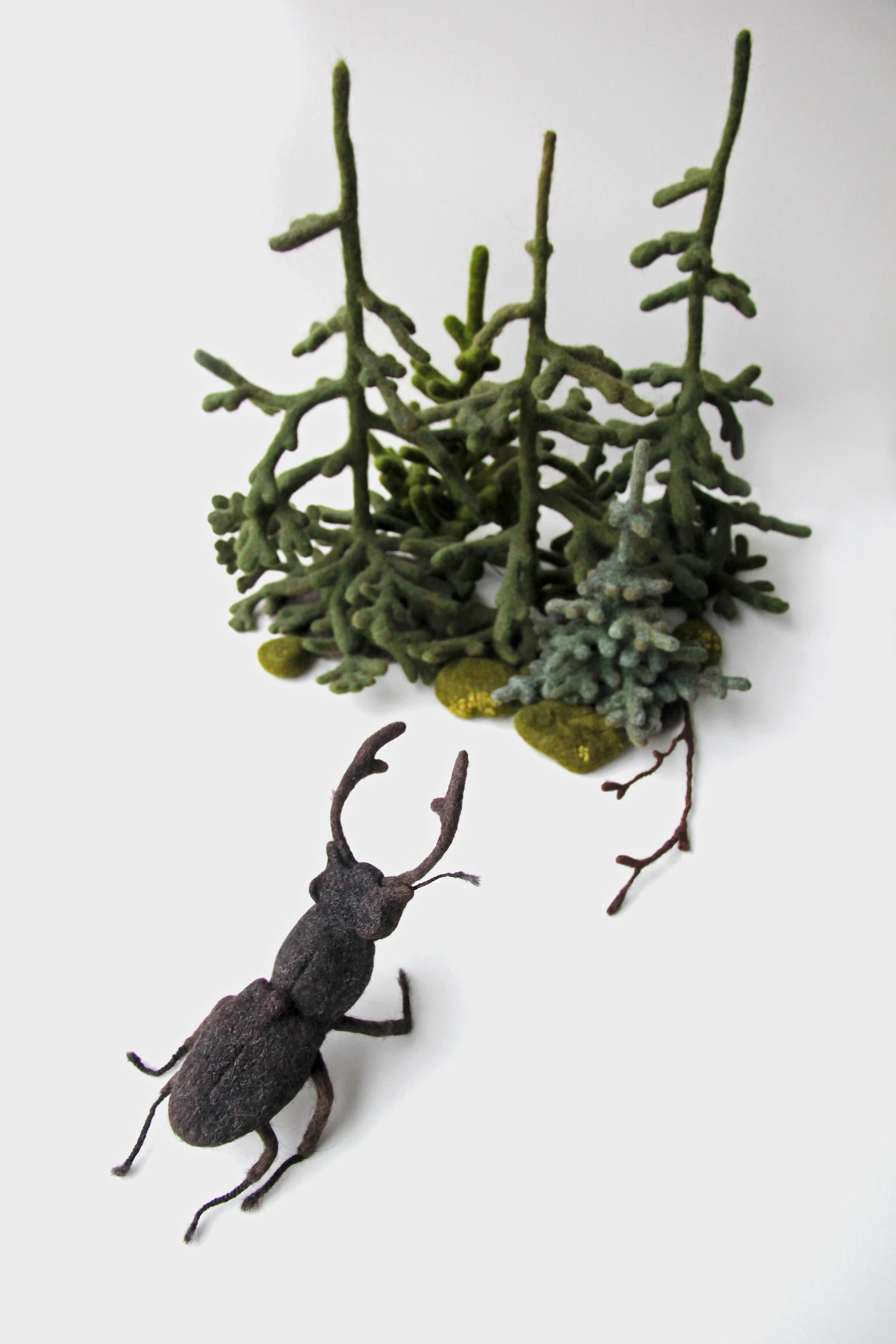 Beetle and forest.JPG