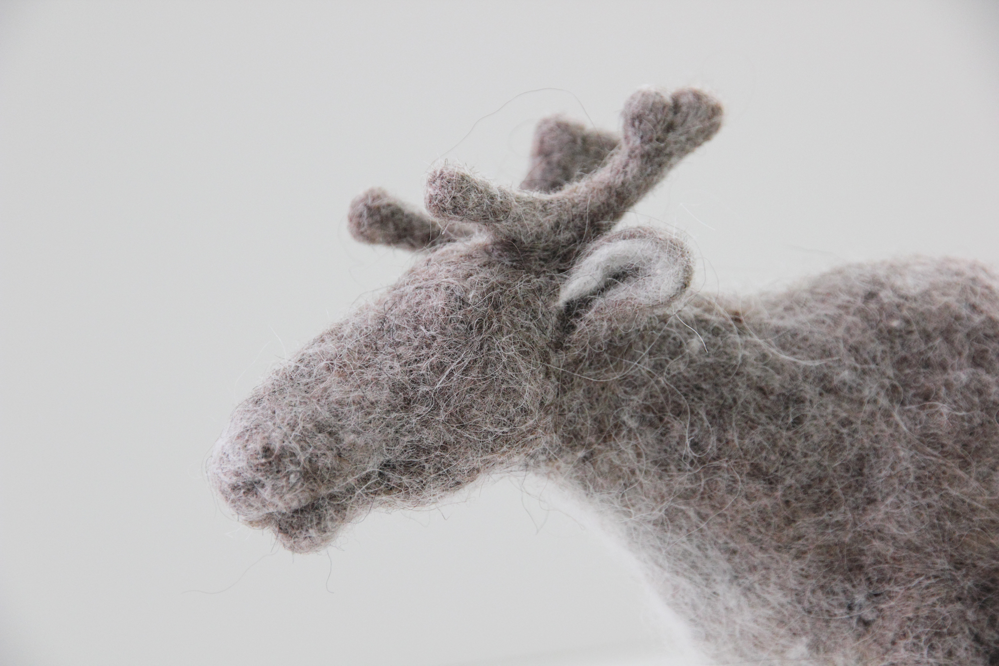 Tuktu 3 (detail) - jpg.jpg