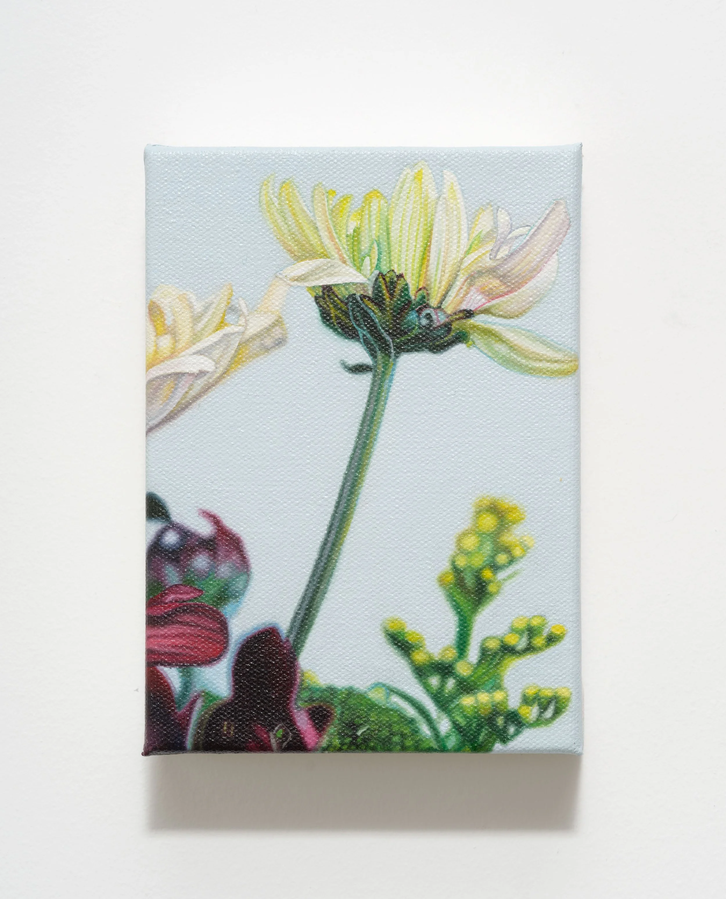  Flower Study, oil on canvas, 5″ x 7,” 2026 (SOLD). 