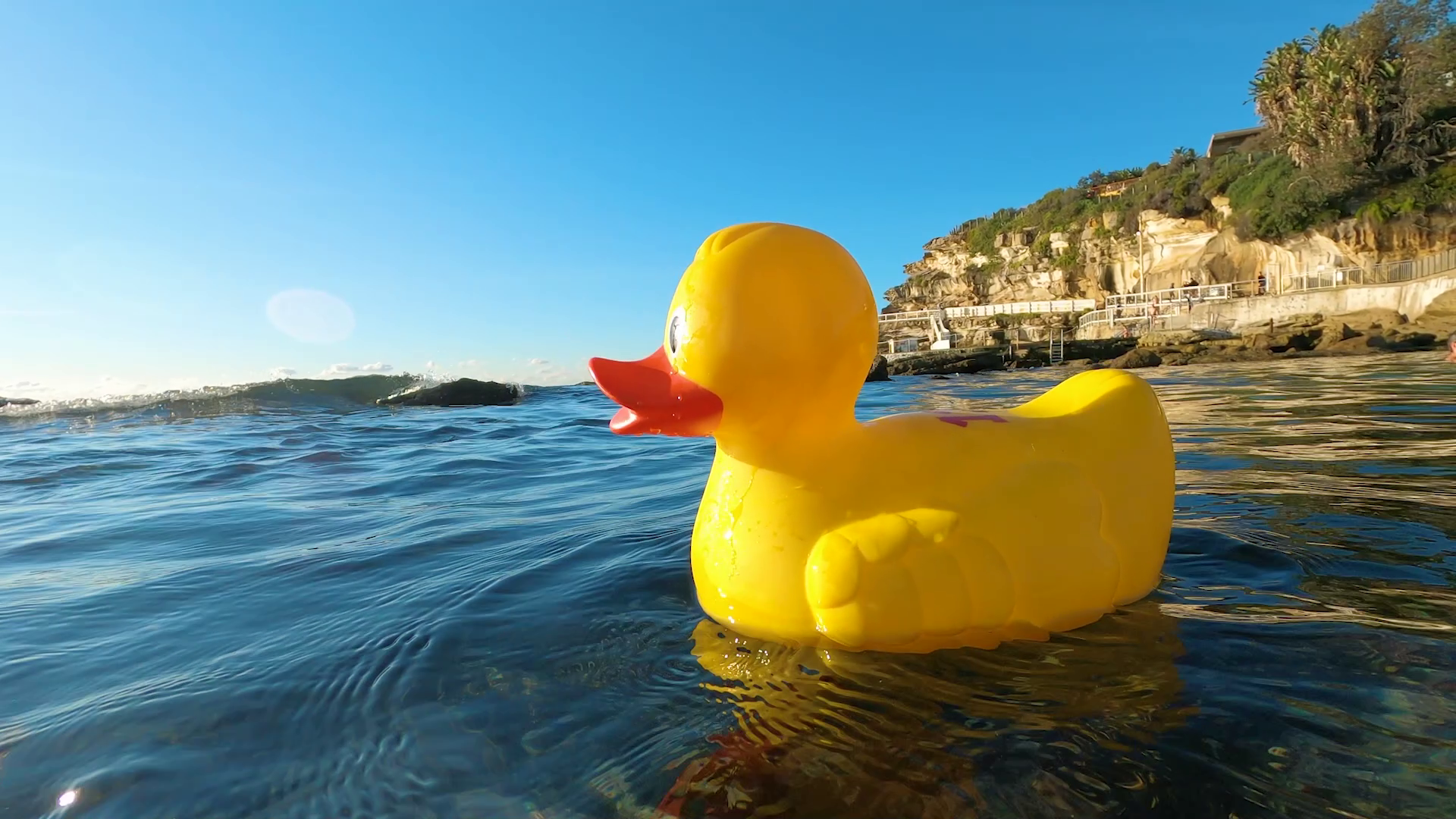 5 Ways to Stay Motivated During Ducktober