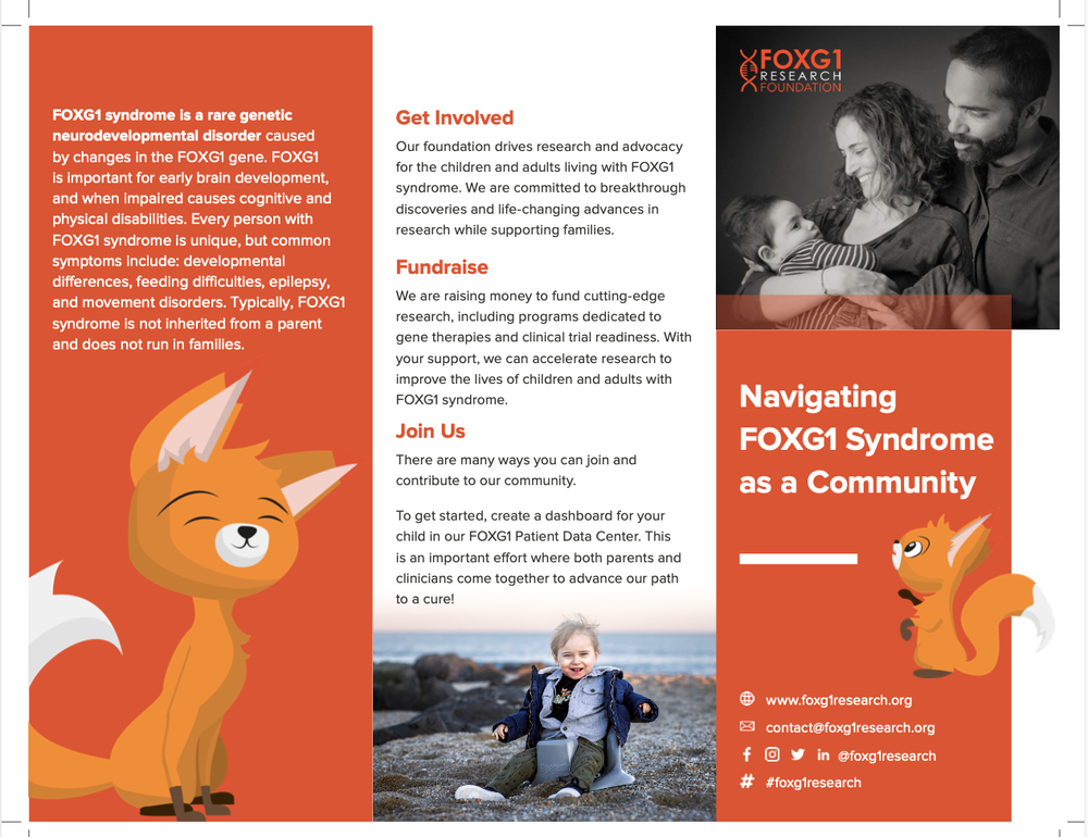 What Is Foxg1 Syndrome