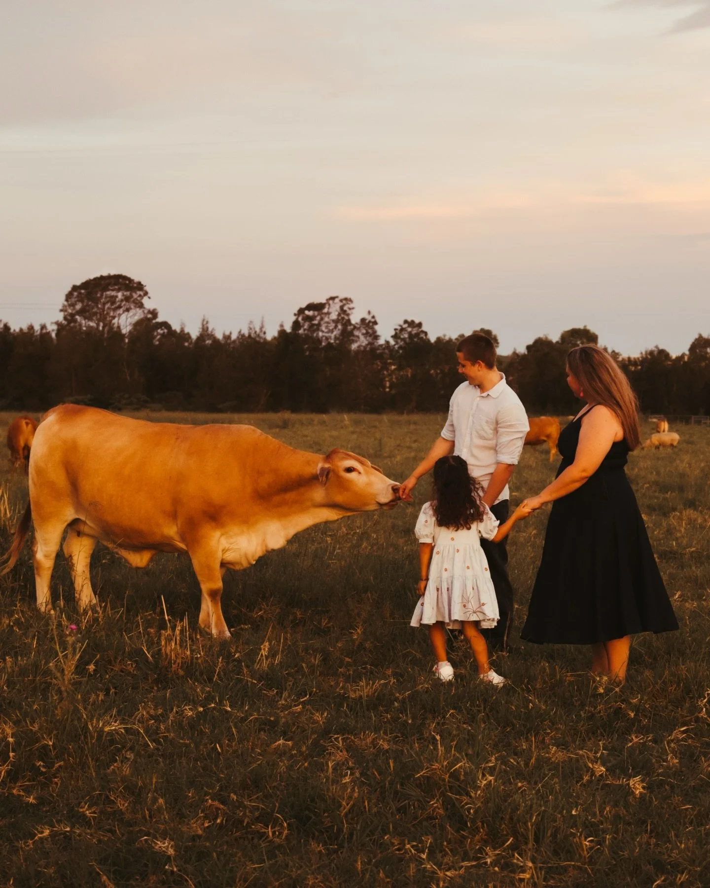 Some families become part of your story too.
Five sessions later and watching these kids grow while sharing so many little moments feels truly special. These sessions never feel like work, they feel like time spent laughing, connecting and making mem