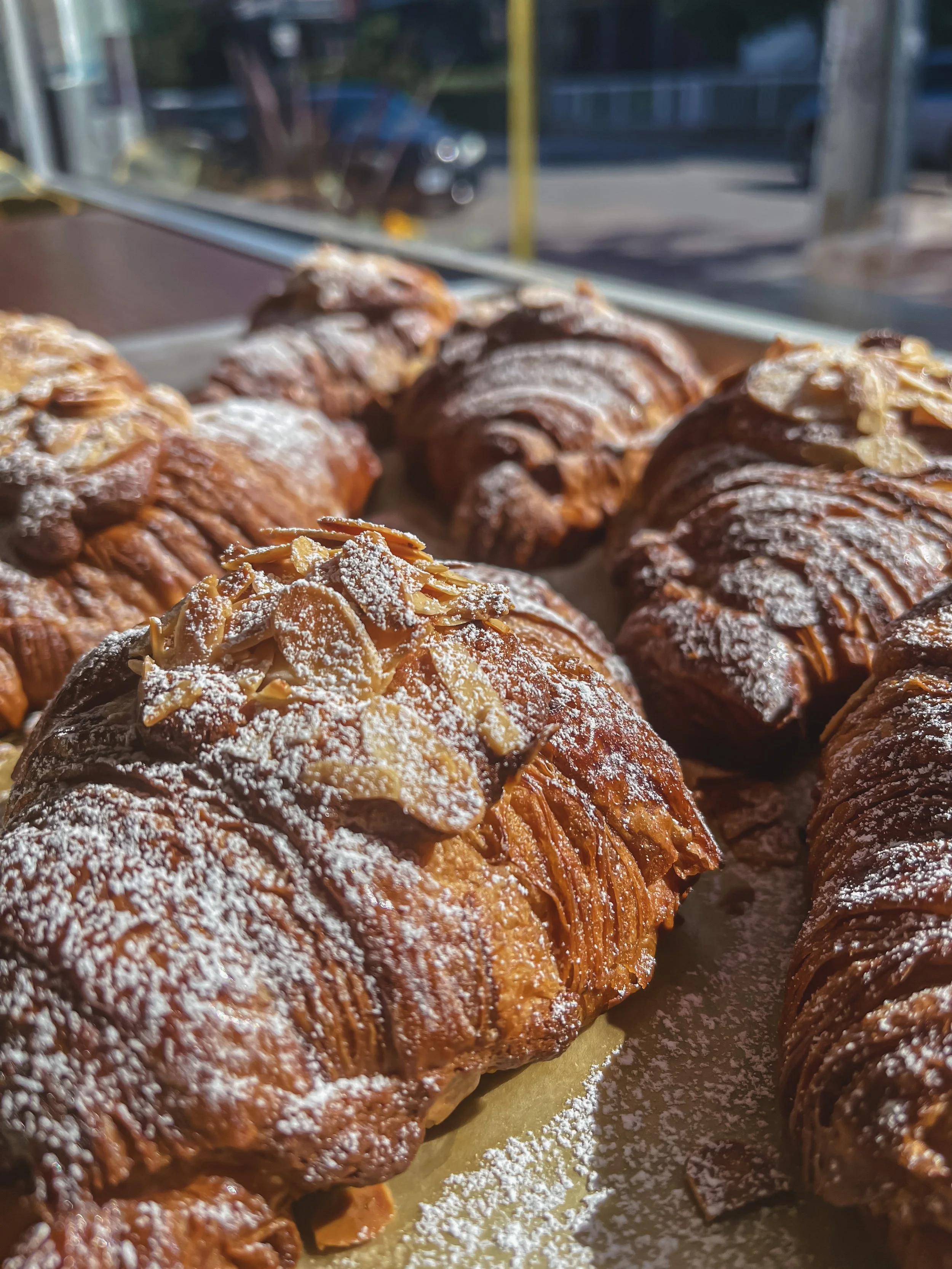 AfterlightImage 50.JPG