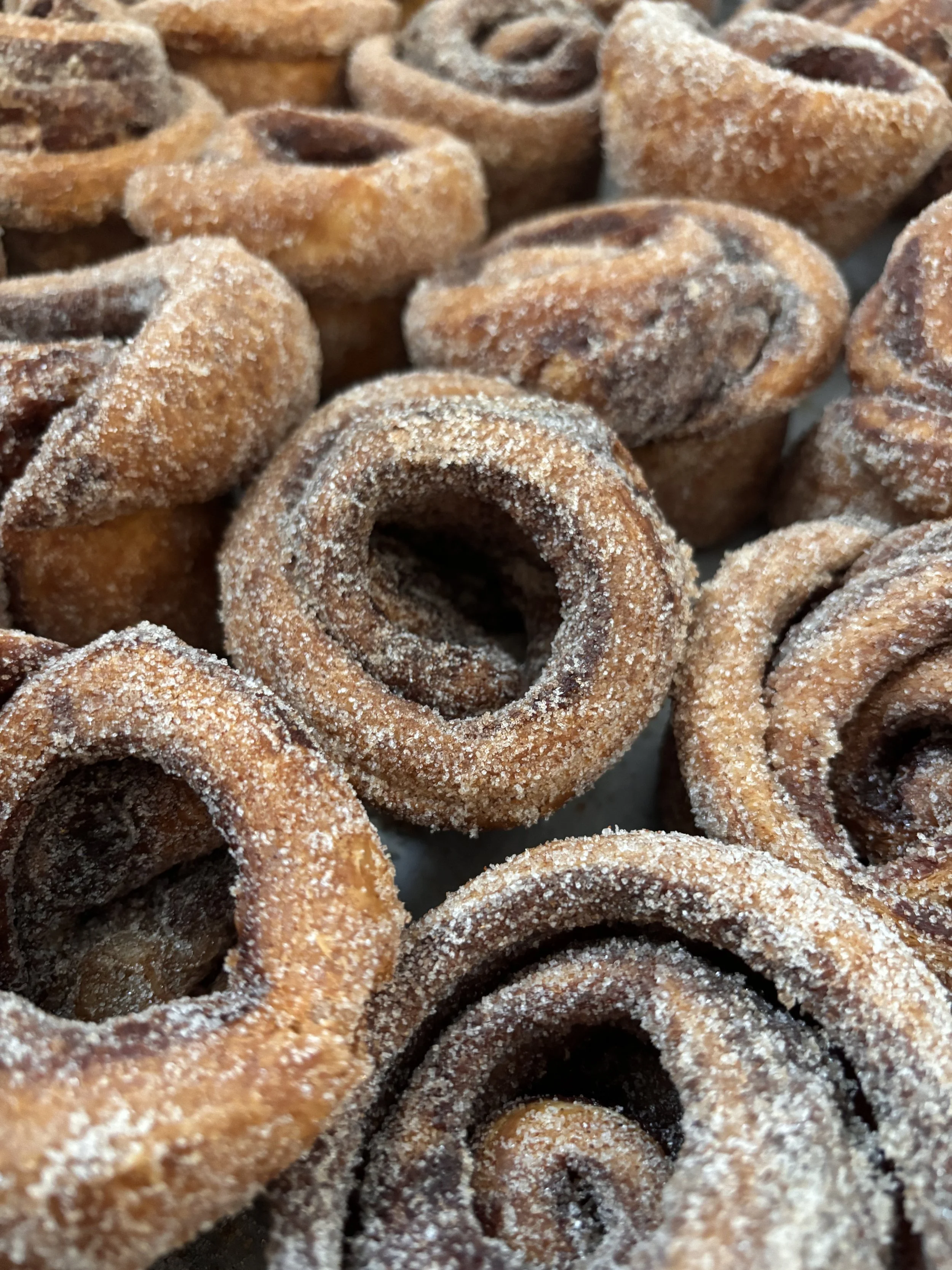 IMG_7366.jpeg