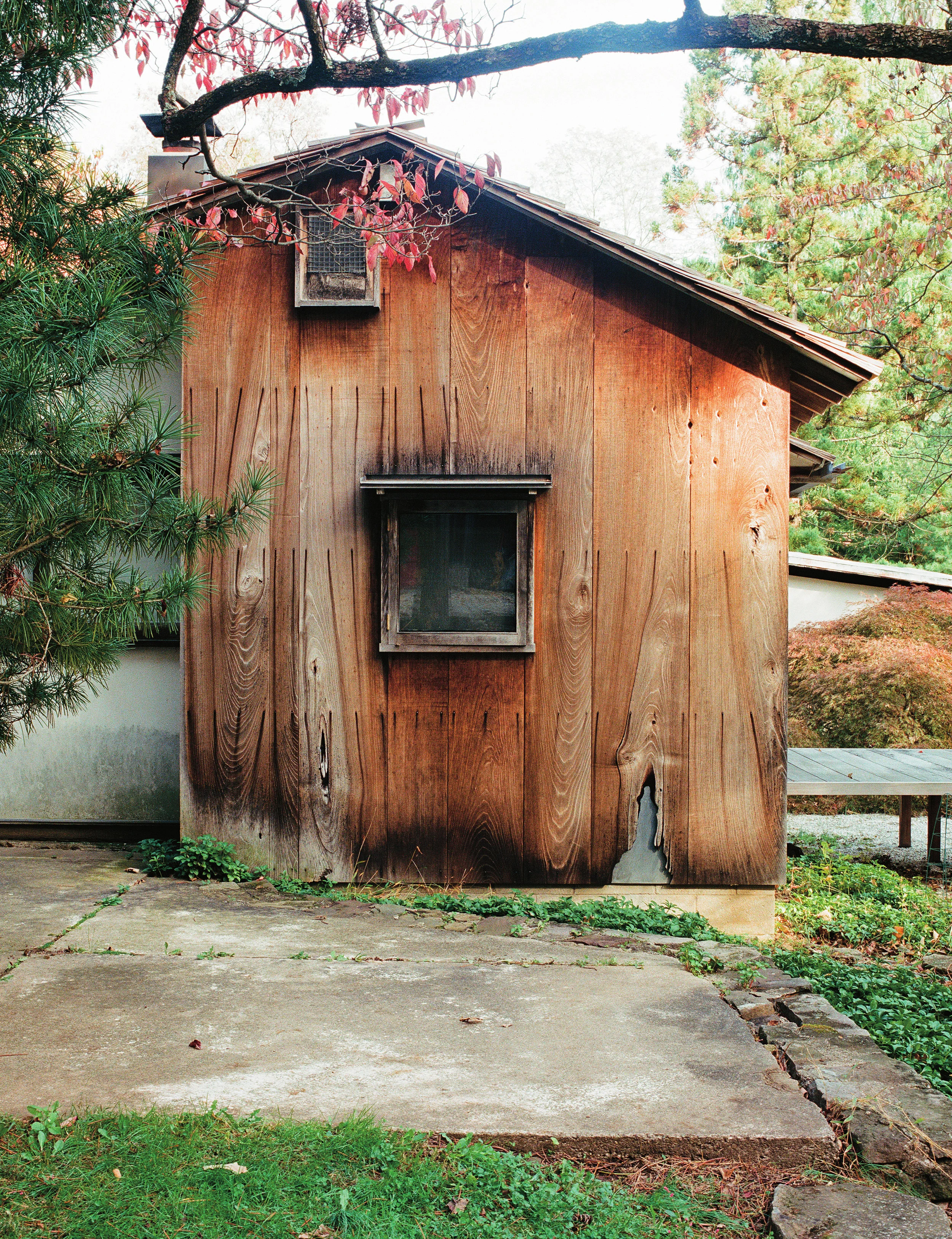 ISSUE-8-Image-248.jpg