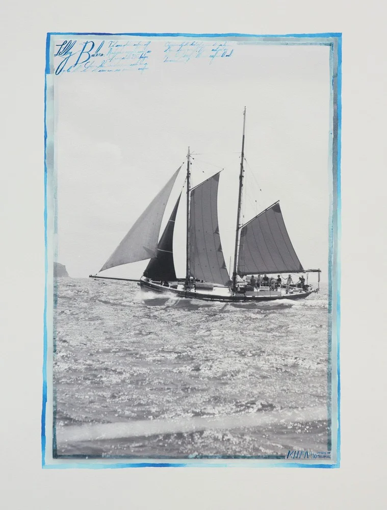 Lilly Bolero, Antigua Classic, 2013, by Max Imrie