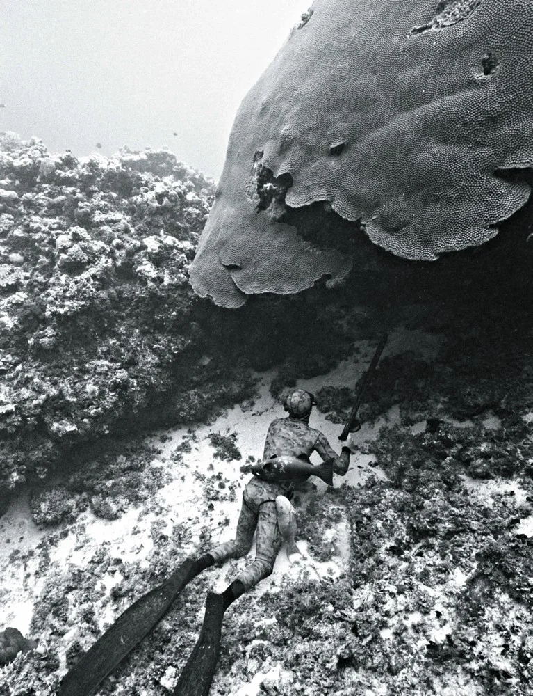 spearfishing in Fiji, 2009. Photograph by Kanoa Zimmerman