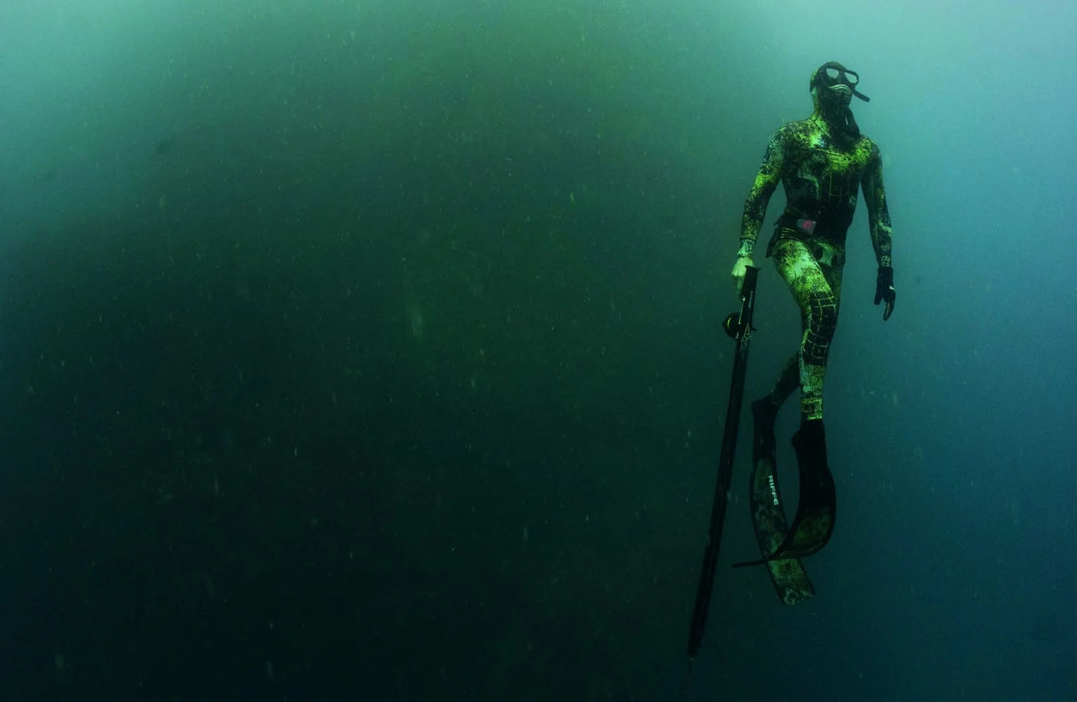 Healey at work, 2014. Photograph by D.J. Struntz