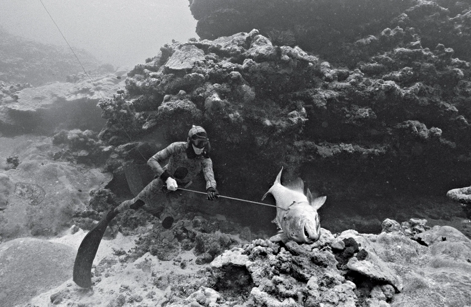 Healey picks up dinner in Fiji, 2009. Photograph by Kanoa Zimmerman.