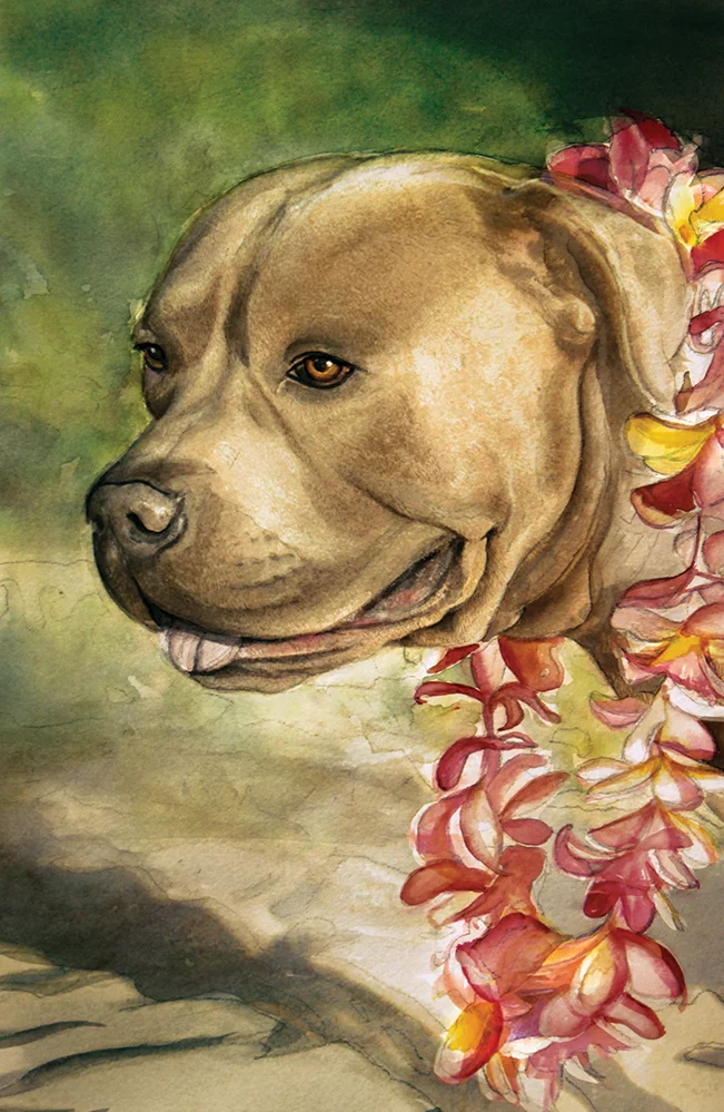 Nui, the family dog.