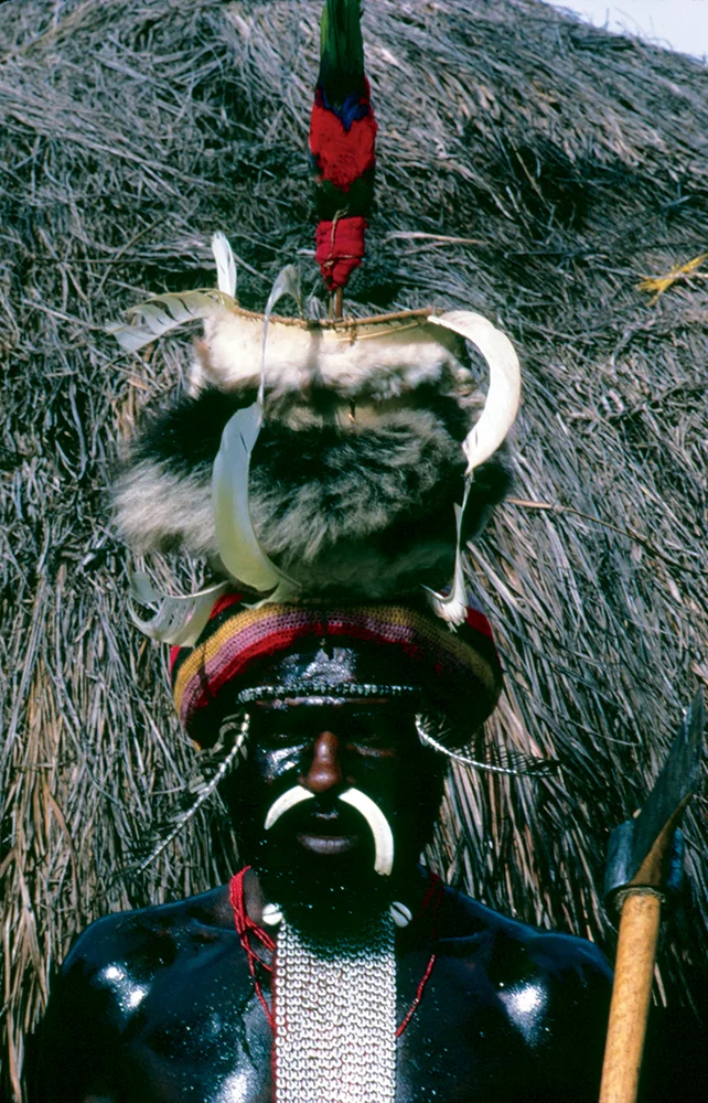 Irian Jaya (Indonesian New Guinea) tribsman in full regalia.