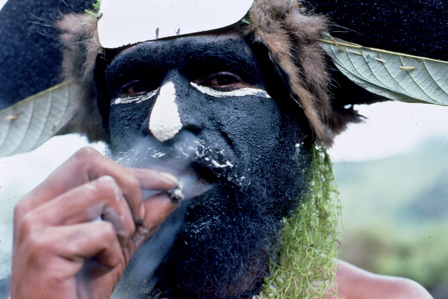 Jungle ganja. Papua.