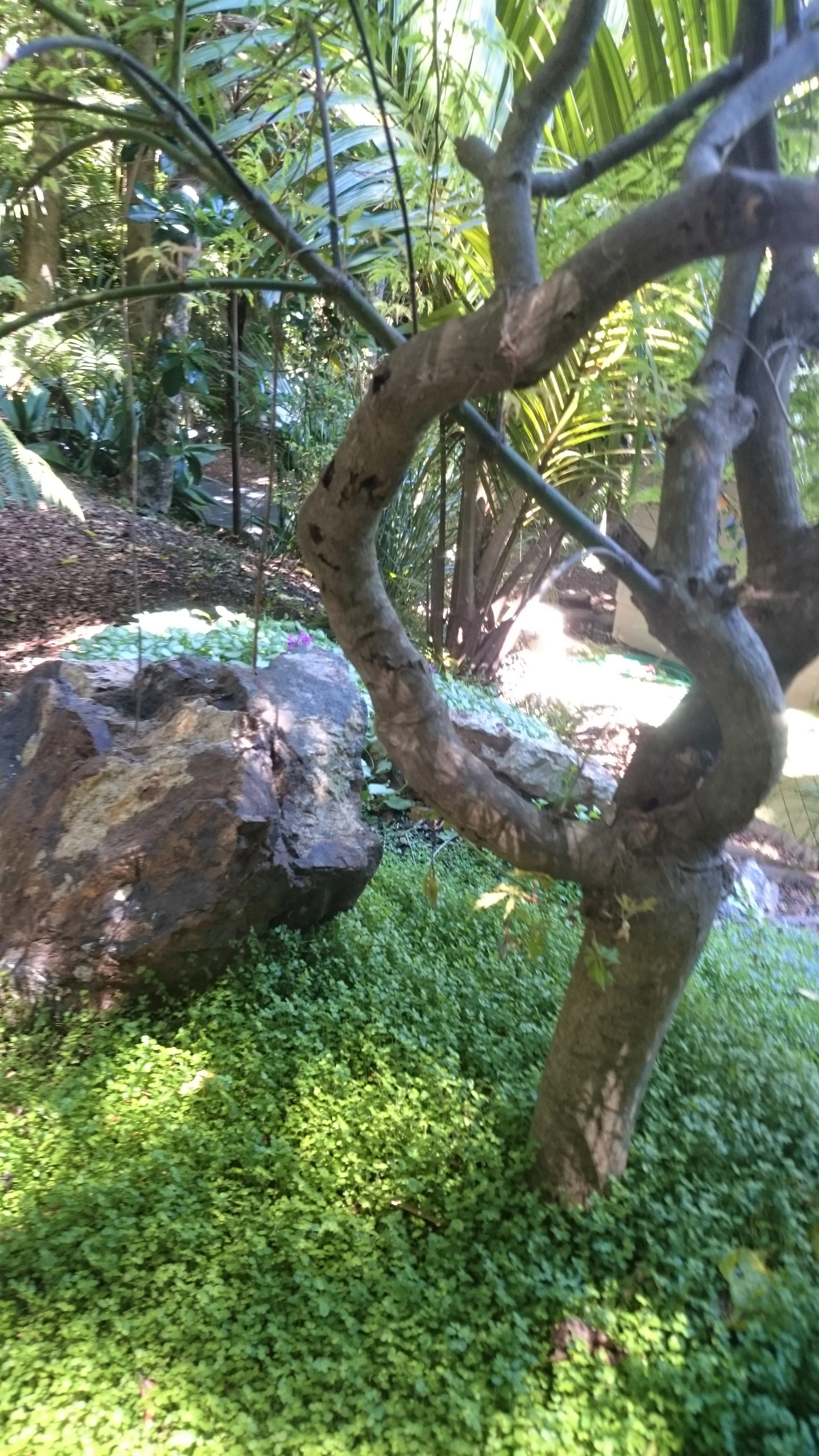 2017-11-07 12.14.22.jpg