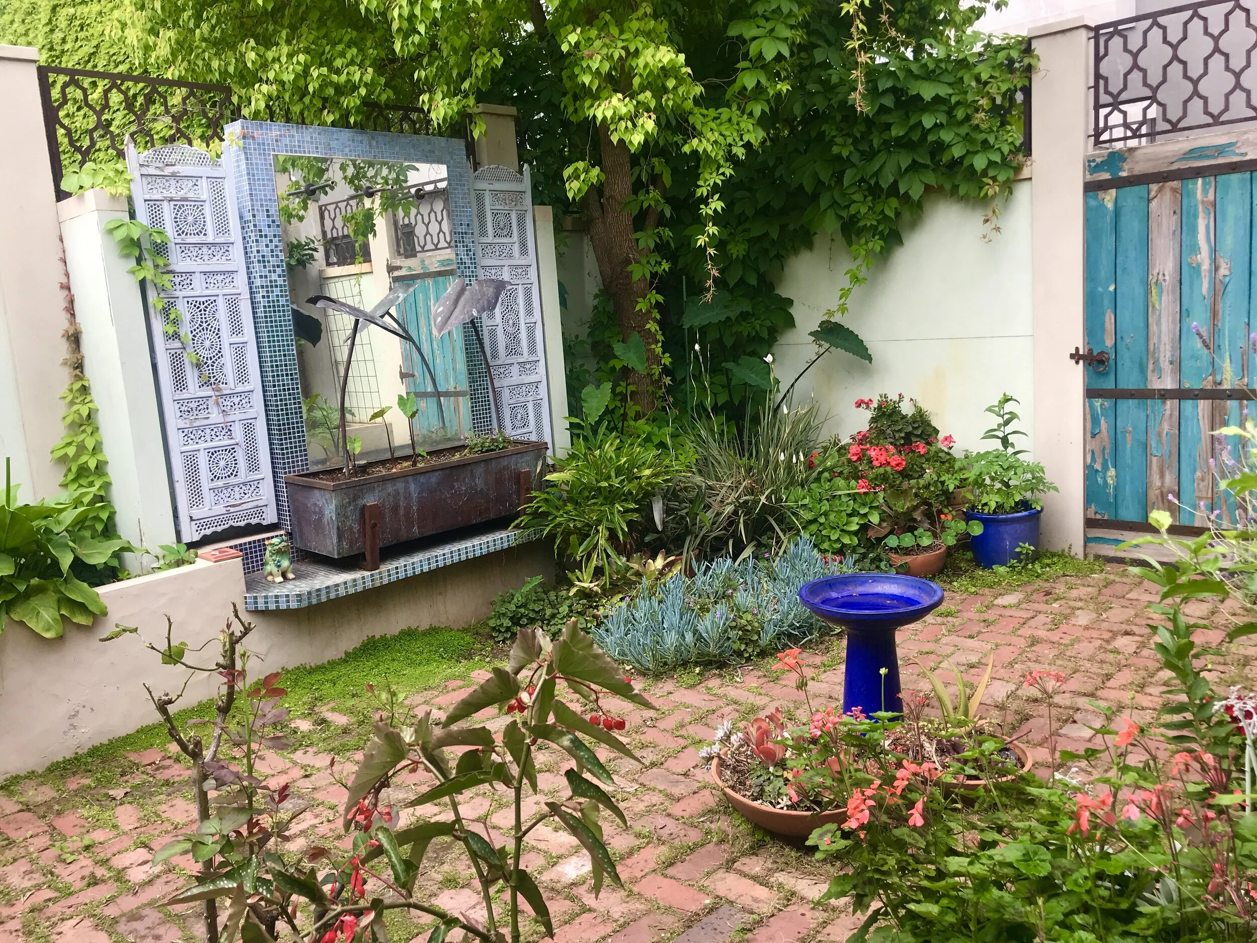 IMG-9272.jpg