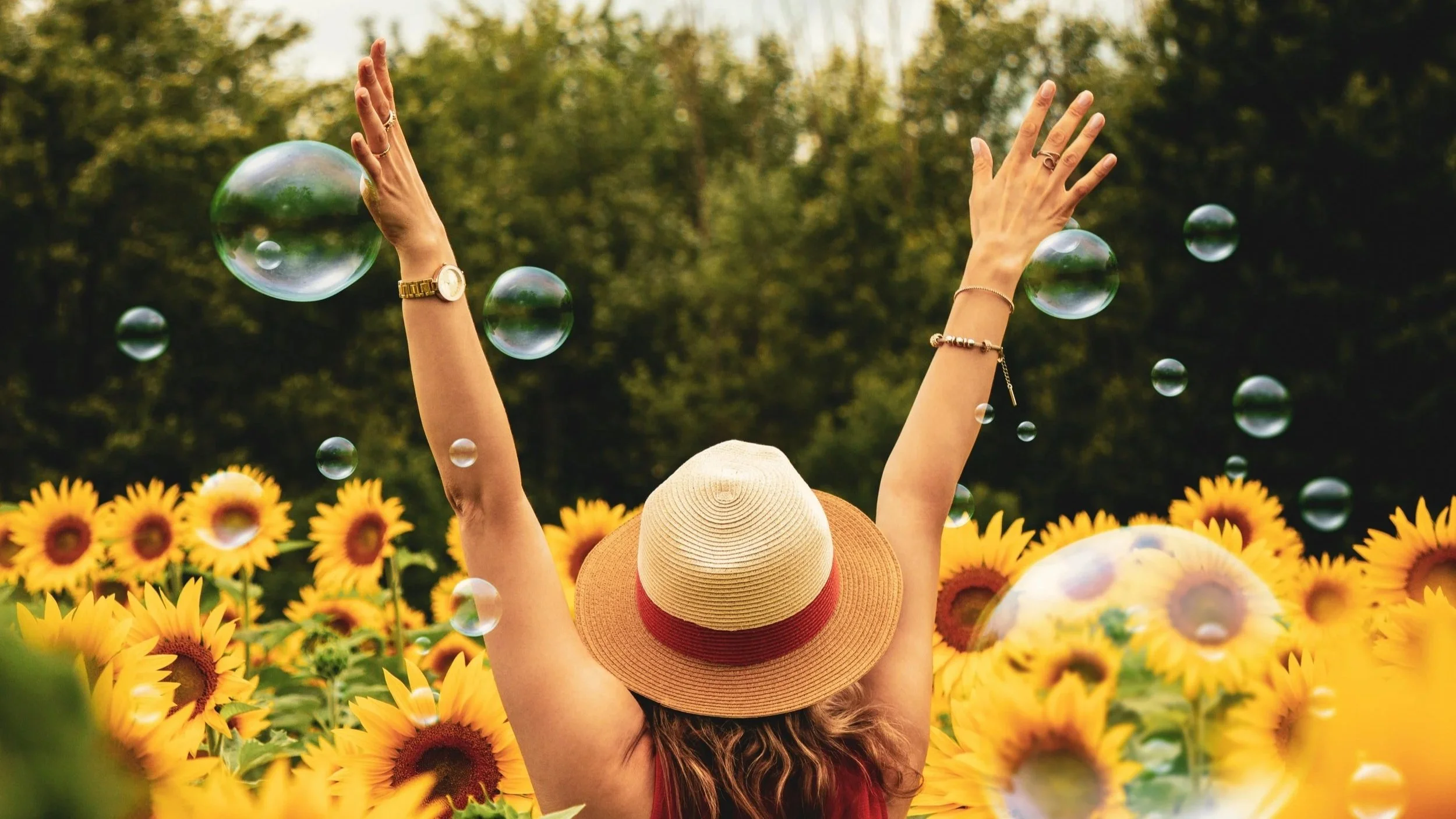 4k-wallpaper-beautiful-bloom-1263986.jpg