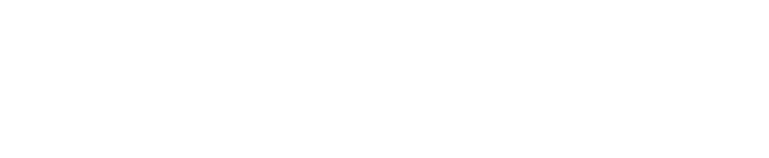 Newton Fields Design