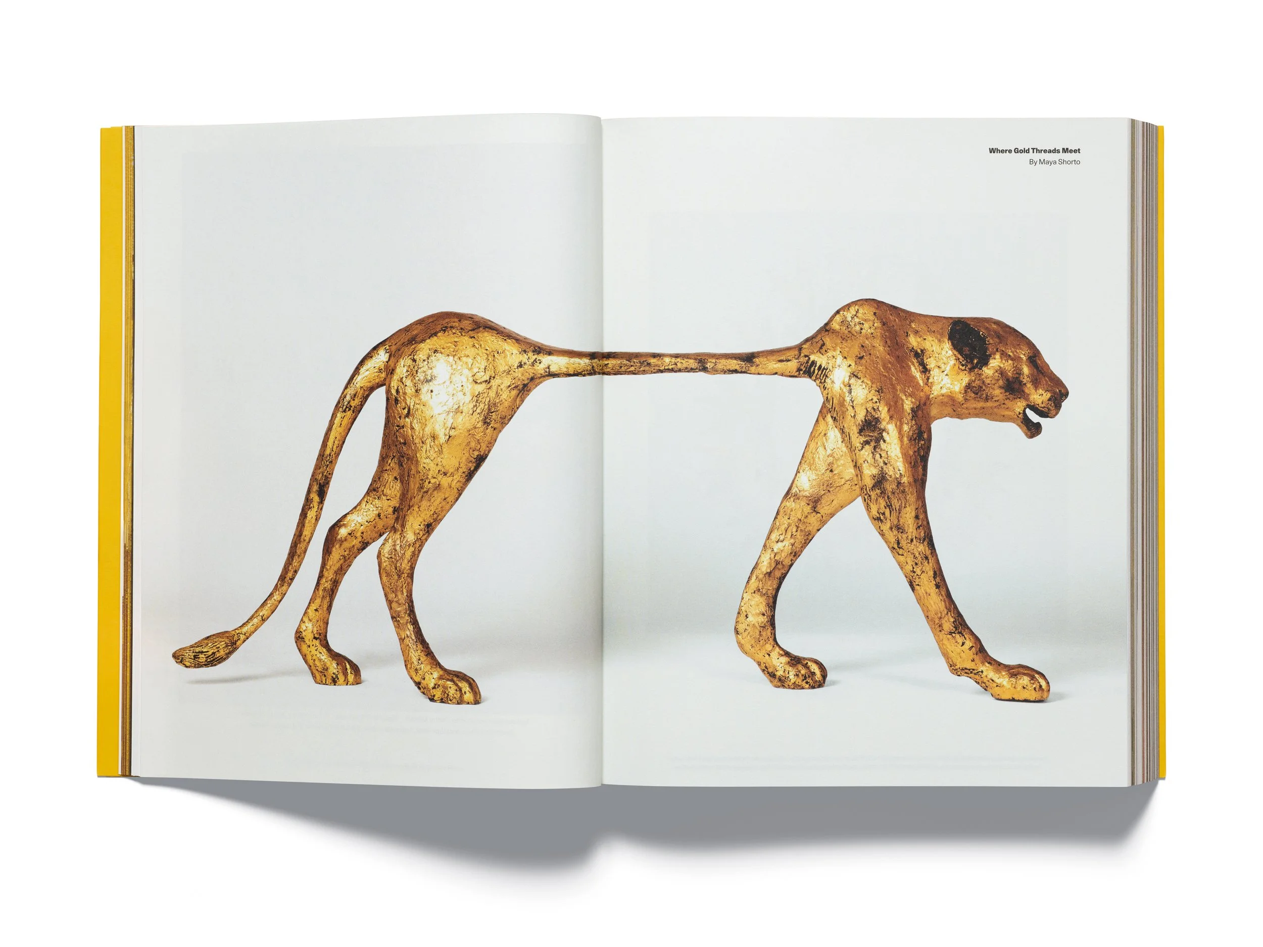 AP20_PRESS_4x3_SPREAD_03.jpg