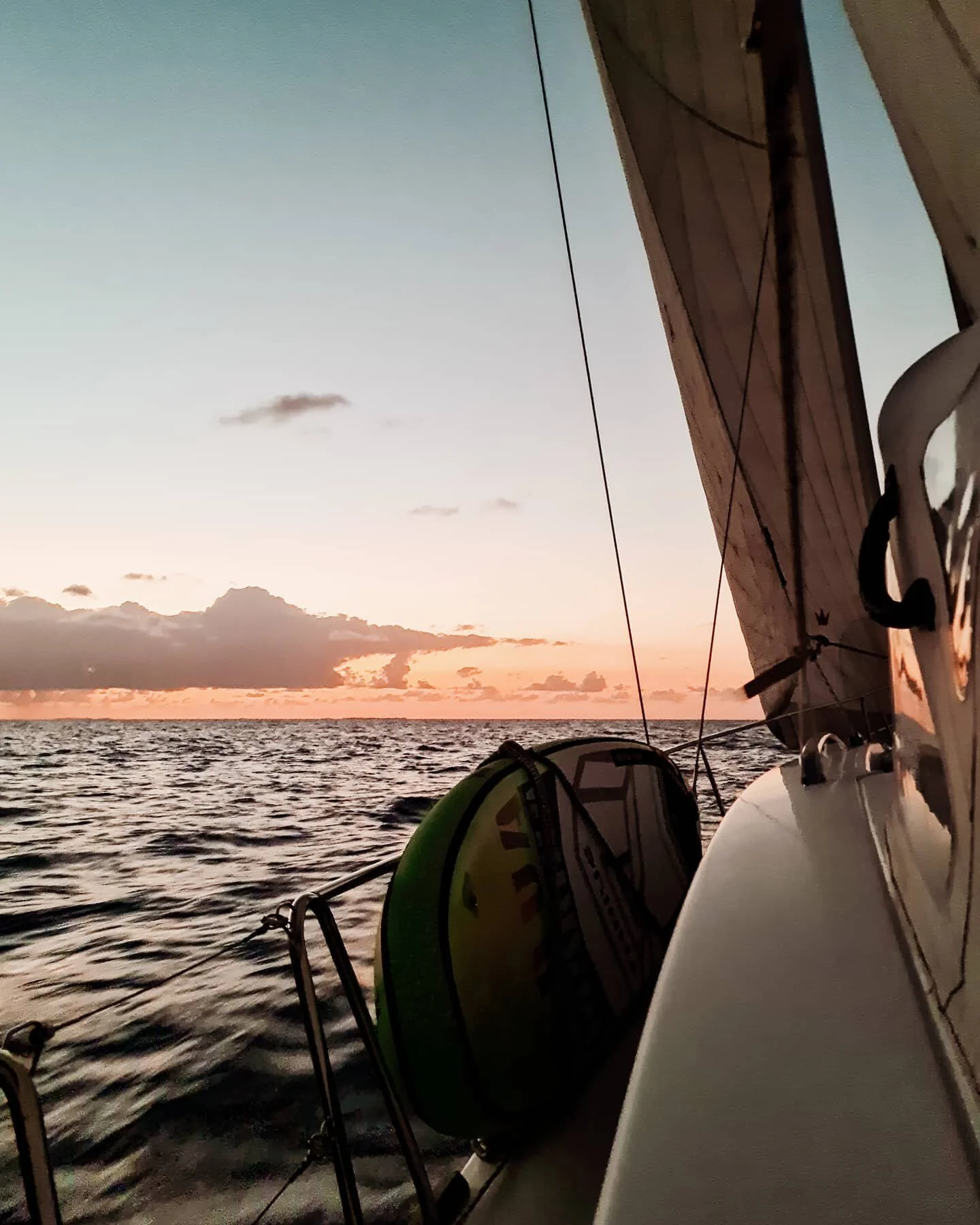 Sailing Insieme 