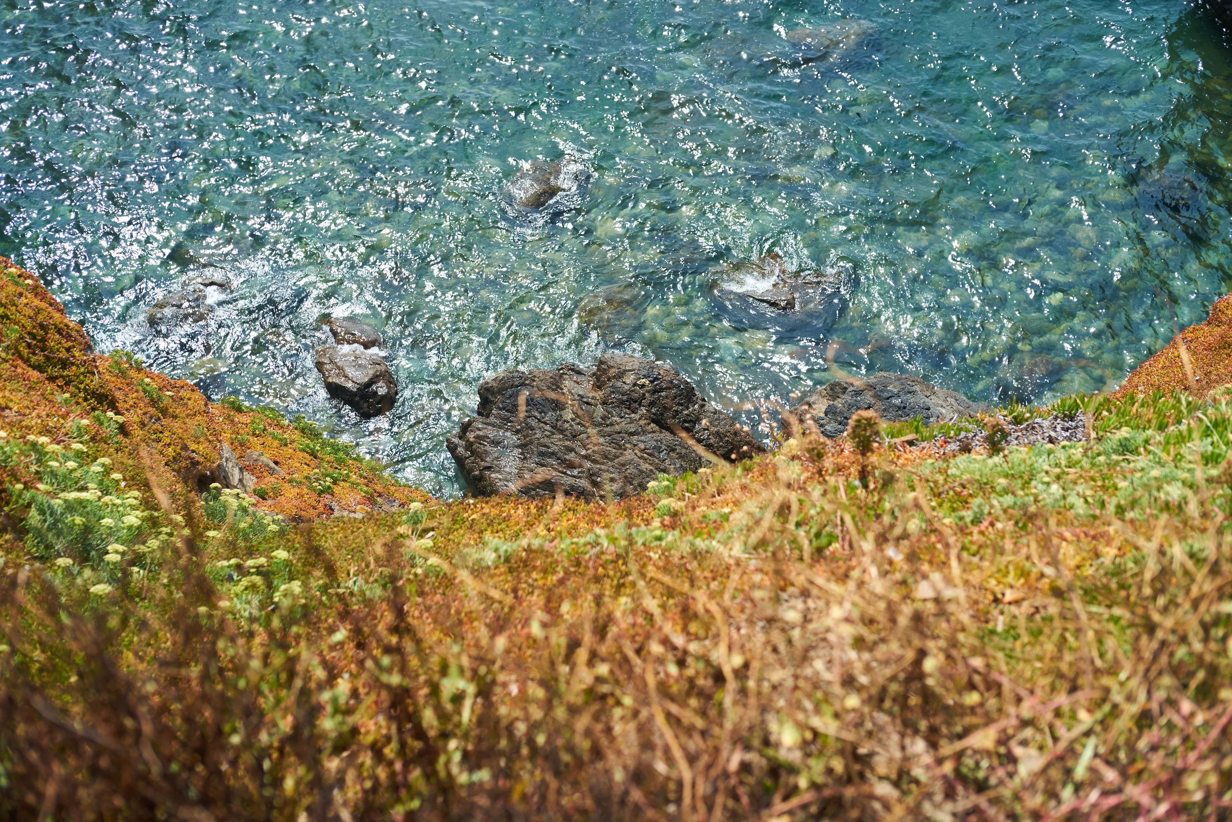 DSCF6707_cornwall_2018_cornwall_sea_cliff.jpg