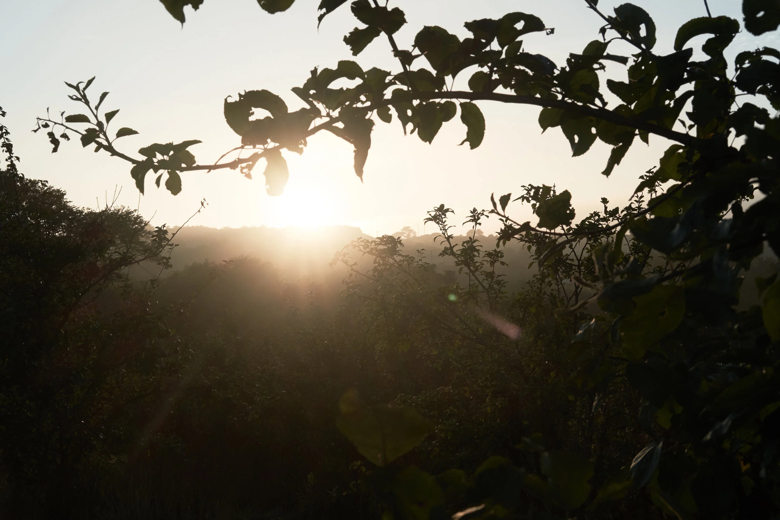 DSCF6672_cornwall_2018_cornwall_sunset.jpg
