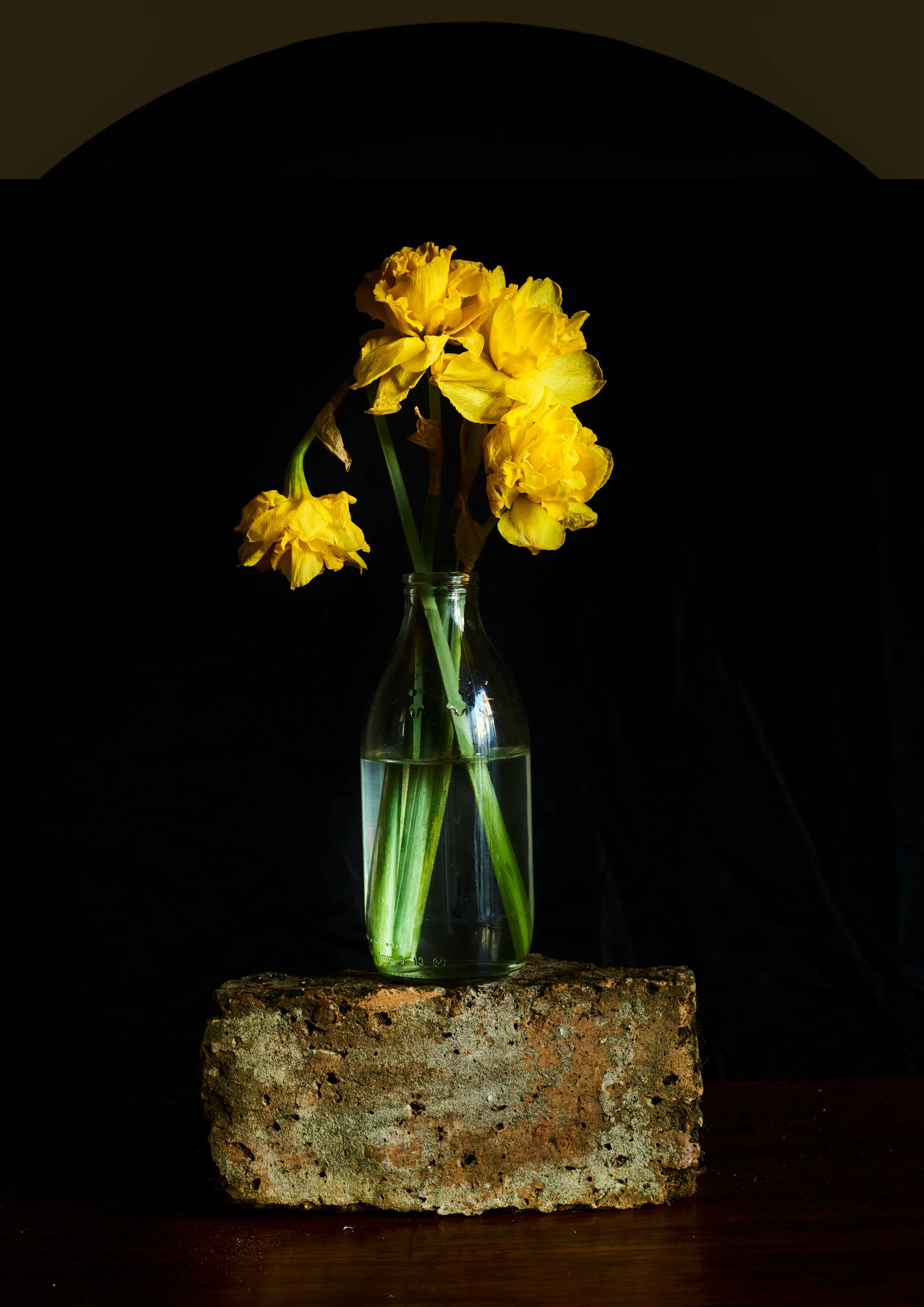 Daffodils_brick_v2.jpg
