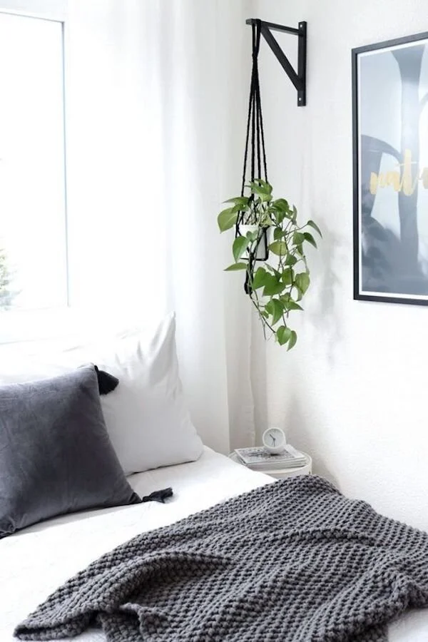 Home Staging HowTo Staging with Plants — Urban Presentations