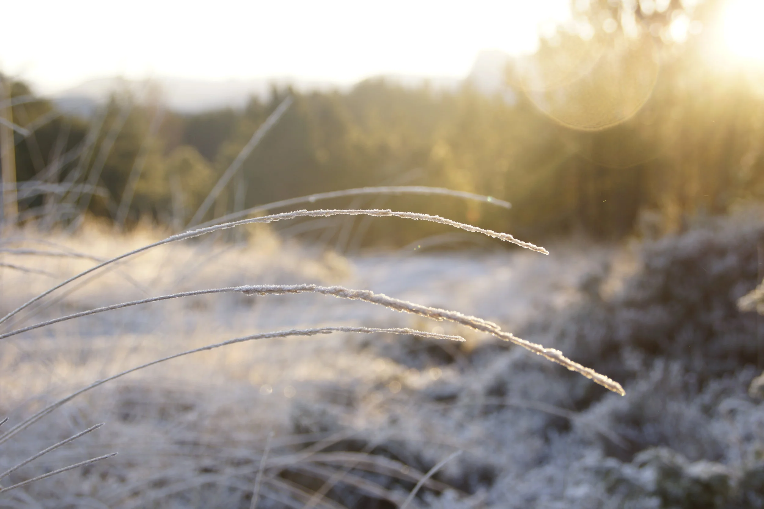 Skap balanse i førjulstiden