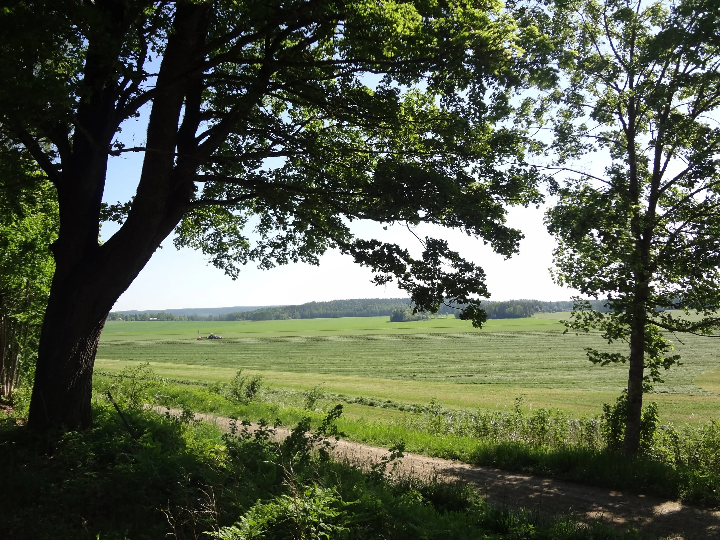 LEVENDE SYSTEMER: En arkitektur for å leve, lære og skape