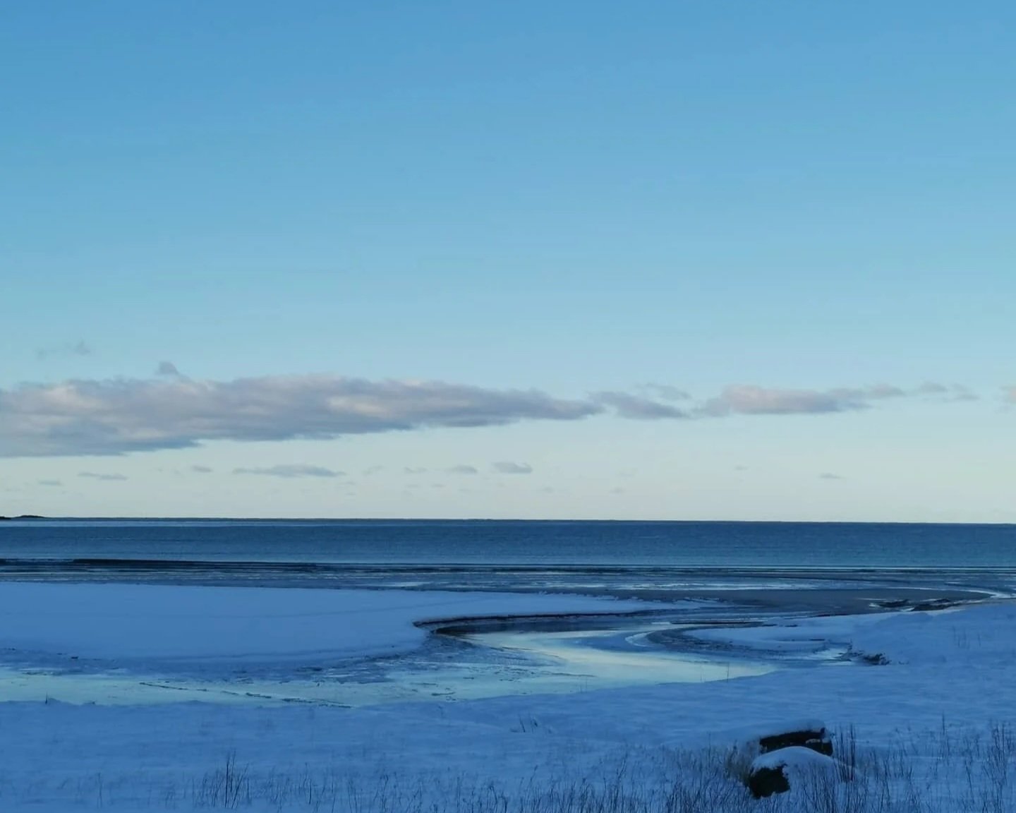 Bli med å Vinterbade!