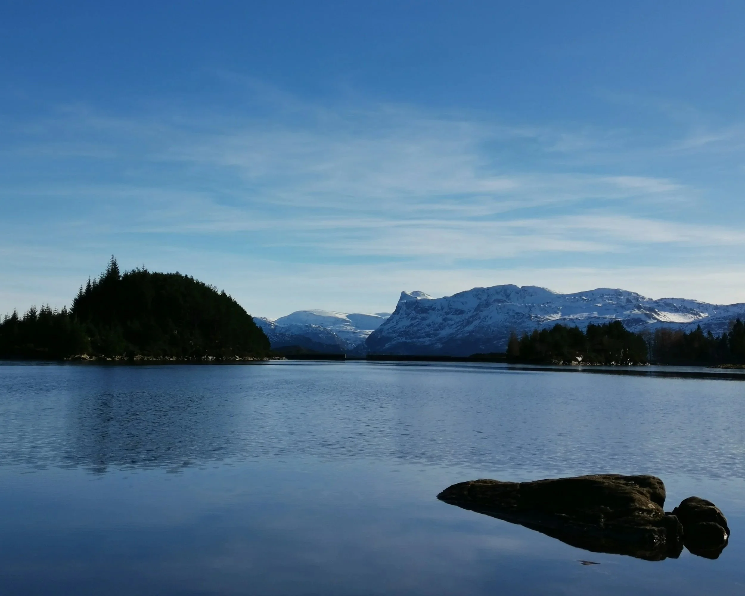 Mennesket og mikrobene