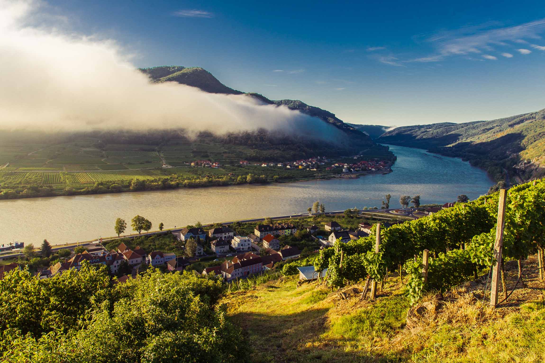 Wachau Spitz © Florian Schulte.jpg