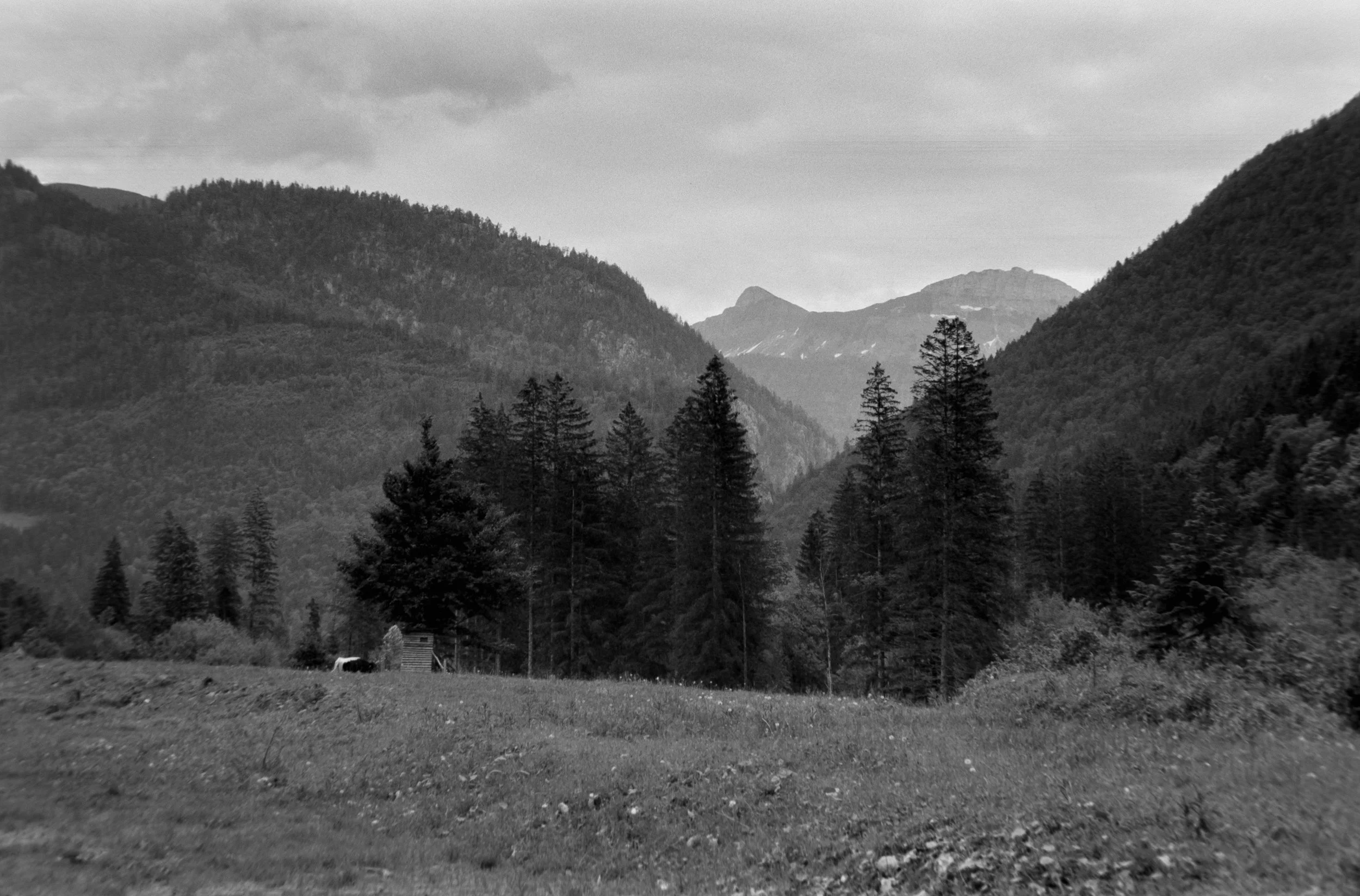 DSCF1564.jpg