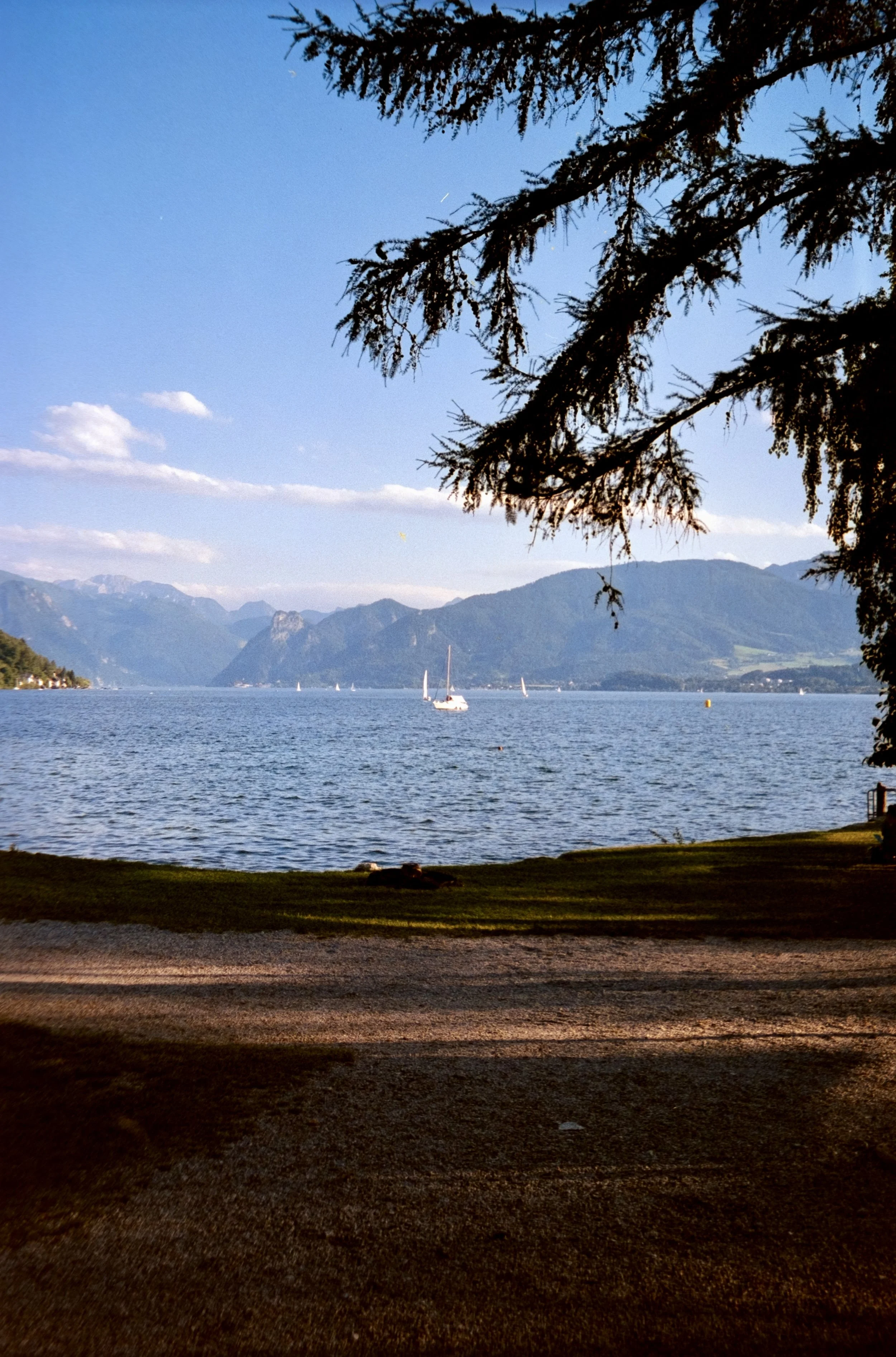 DSCF1587.jpg