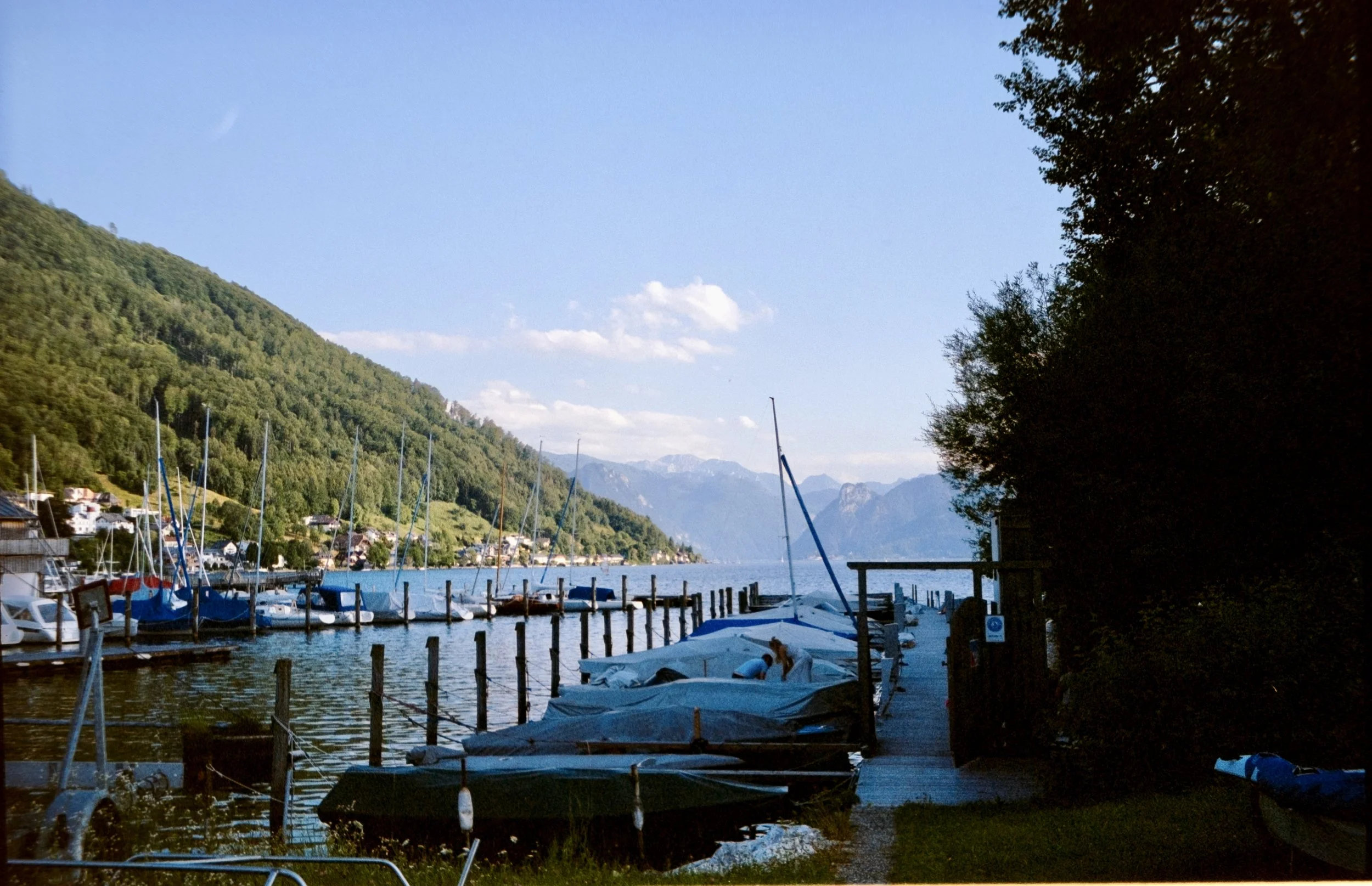 DSCF1586.jpg
