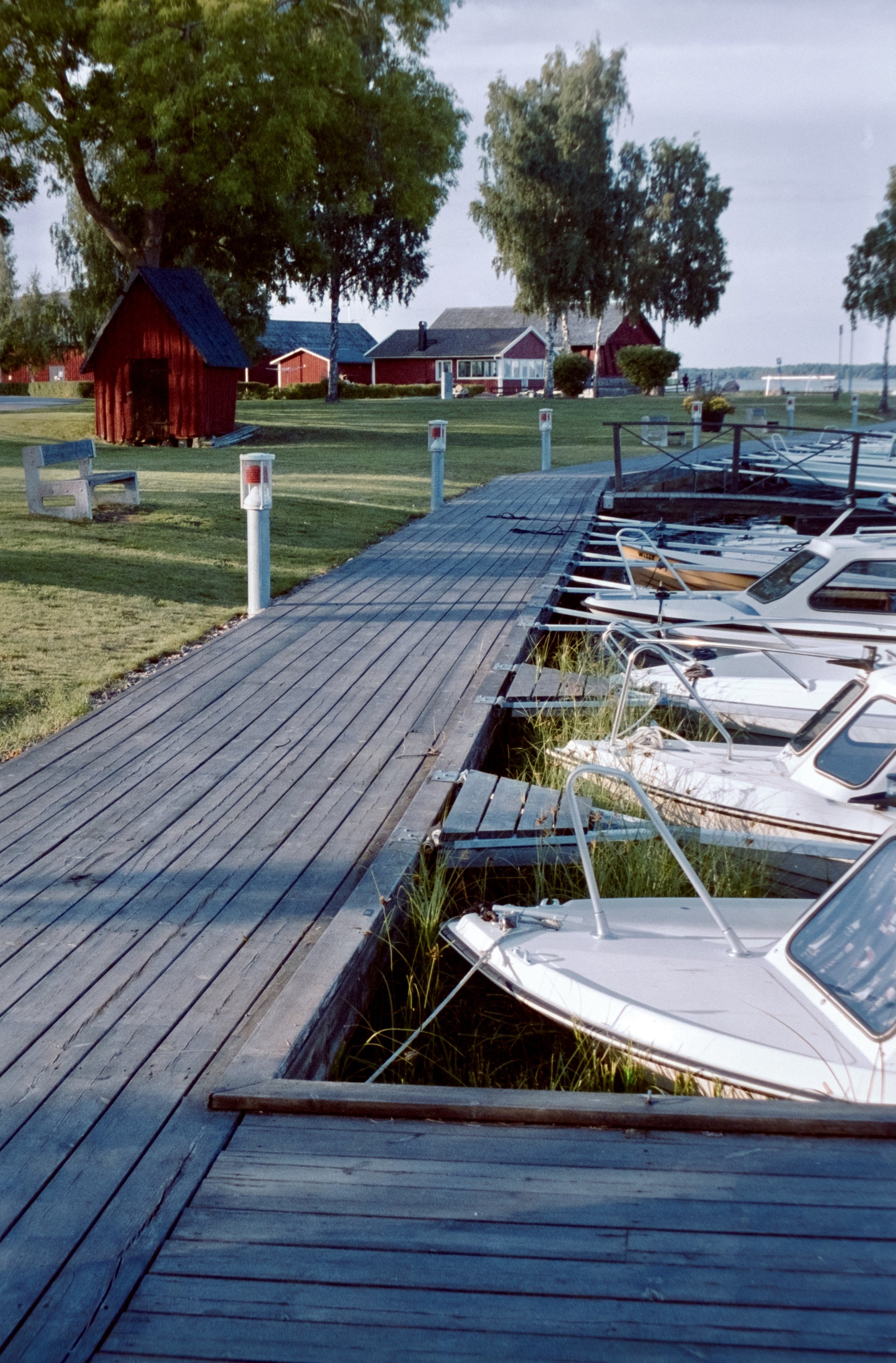DSCF9890.jpg