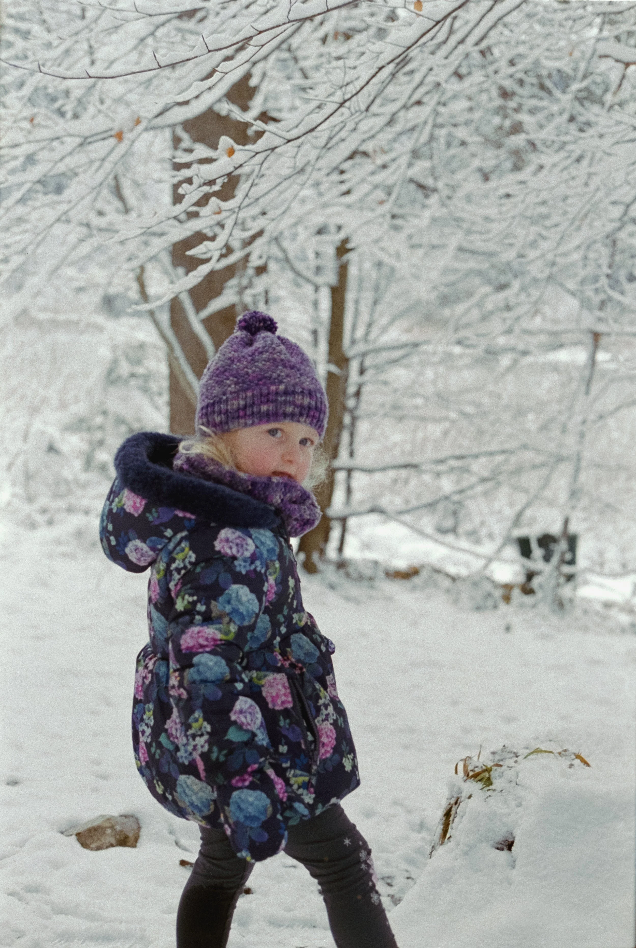 DSCF8181.jpg