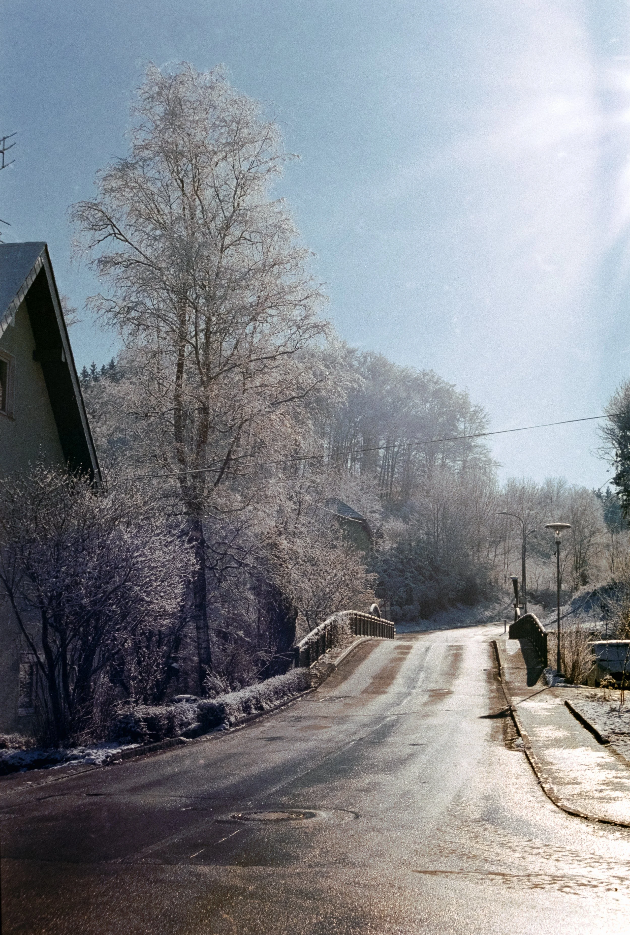DSCF8248.jpg