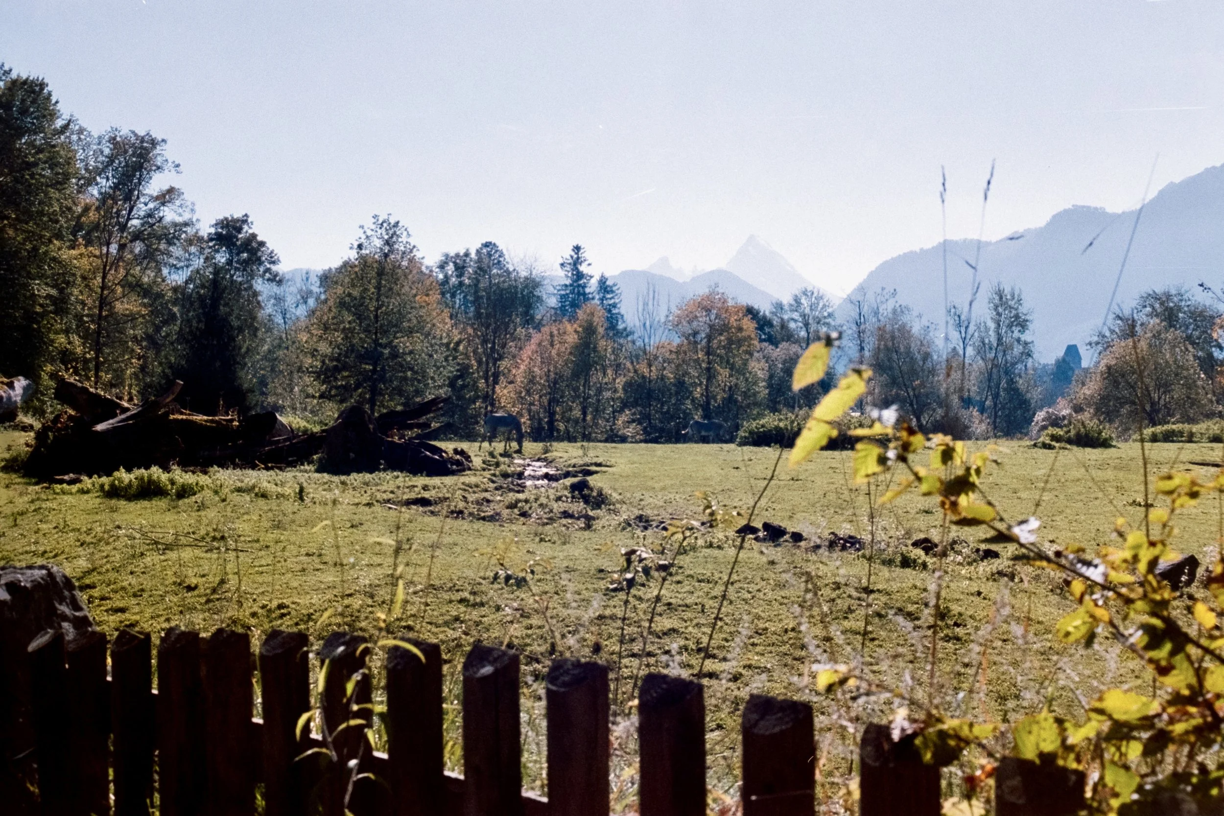 DSCF0505.jpg
