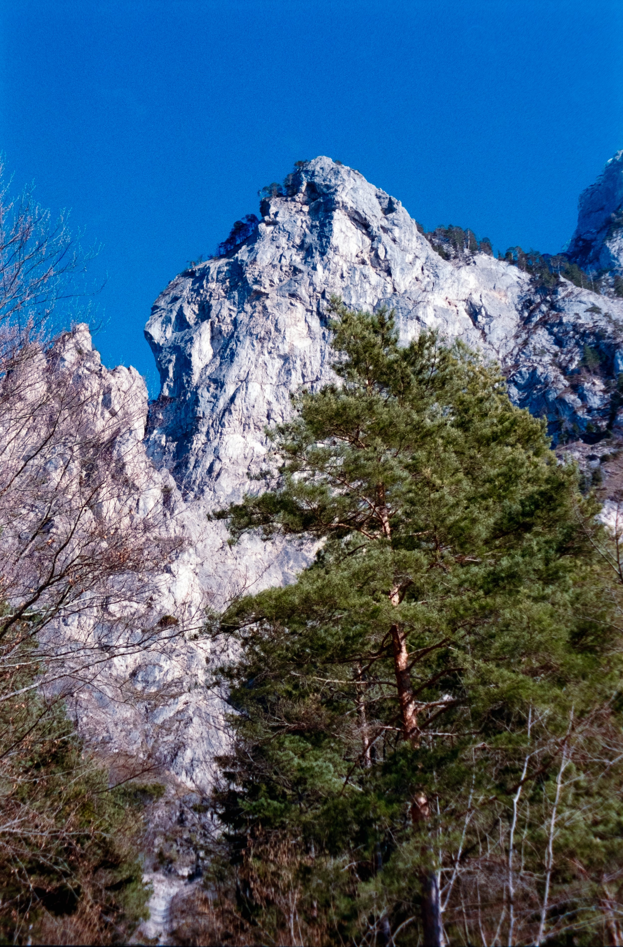 DSCF0924.jpg