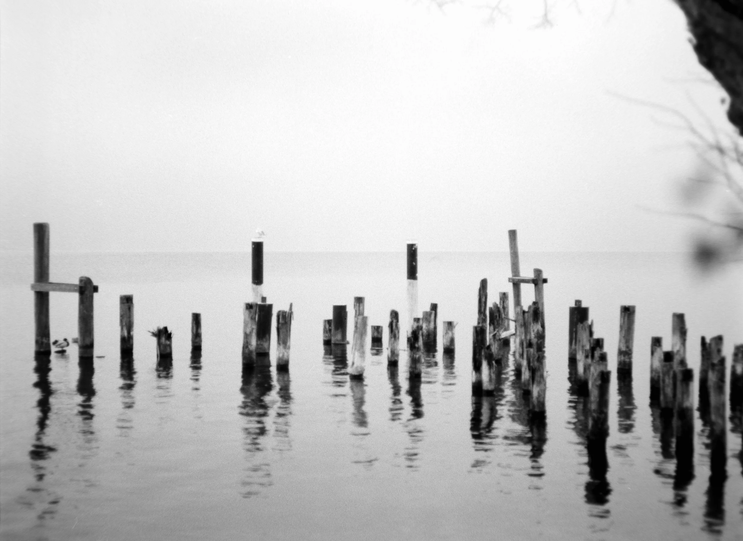DSCF1209.jpg