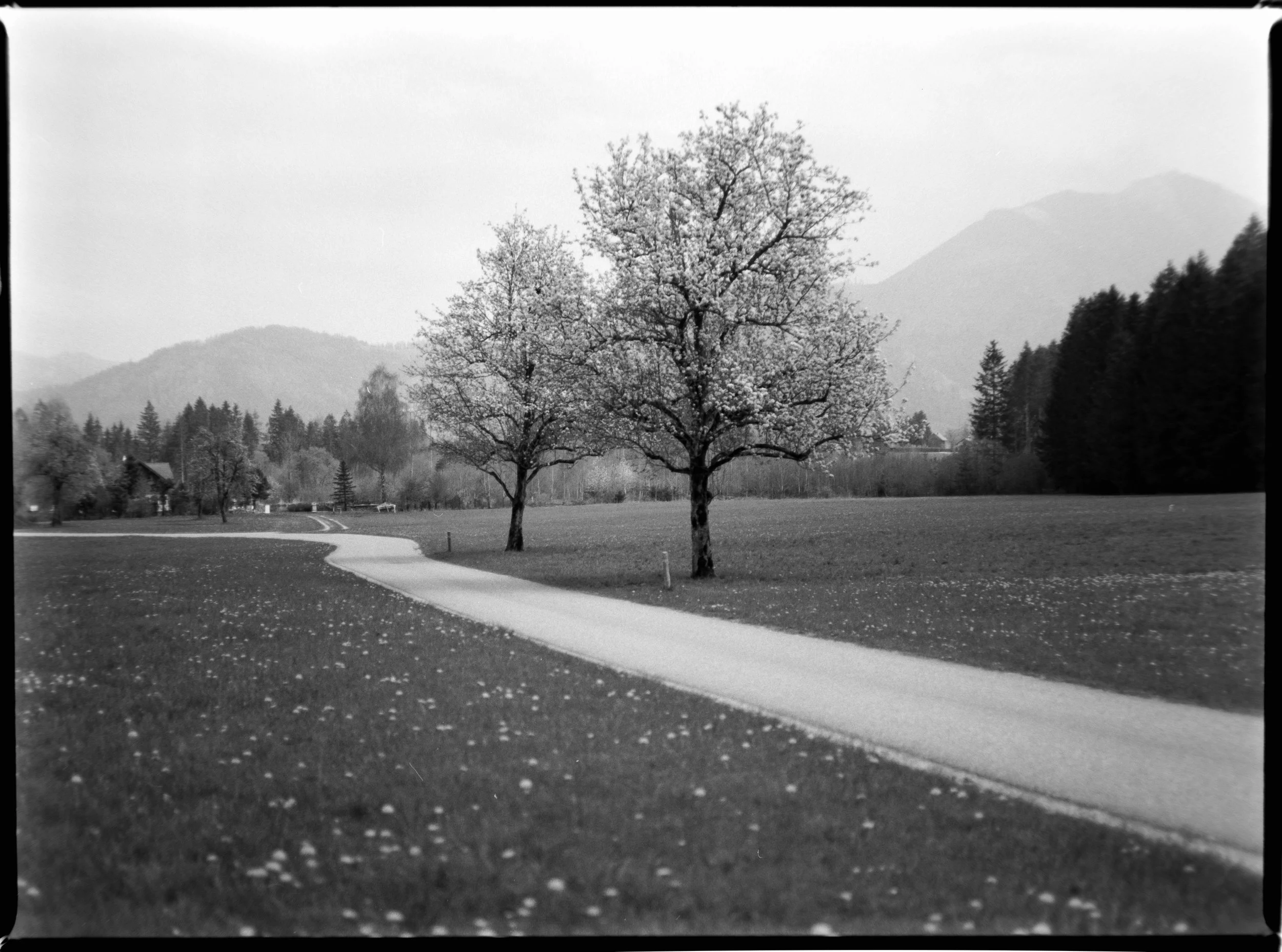DSCF8879.jpg