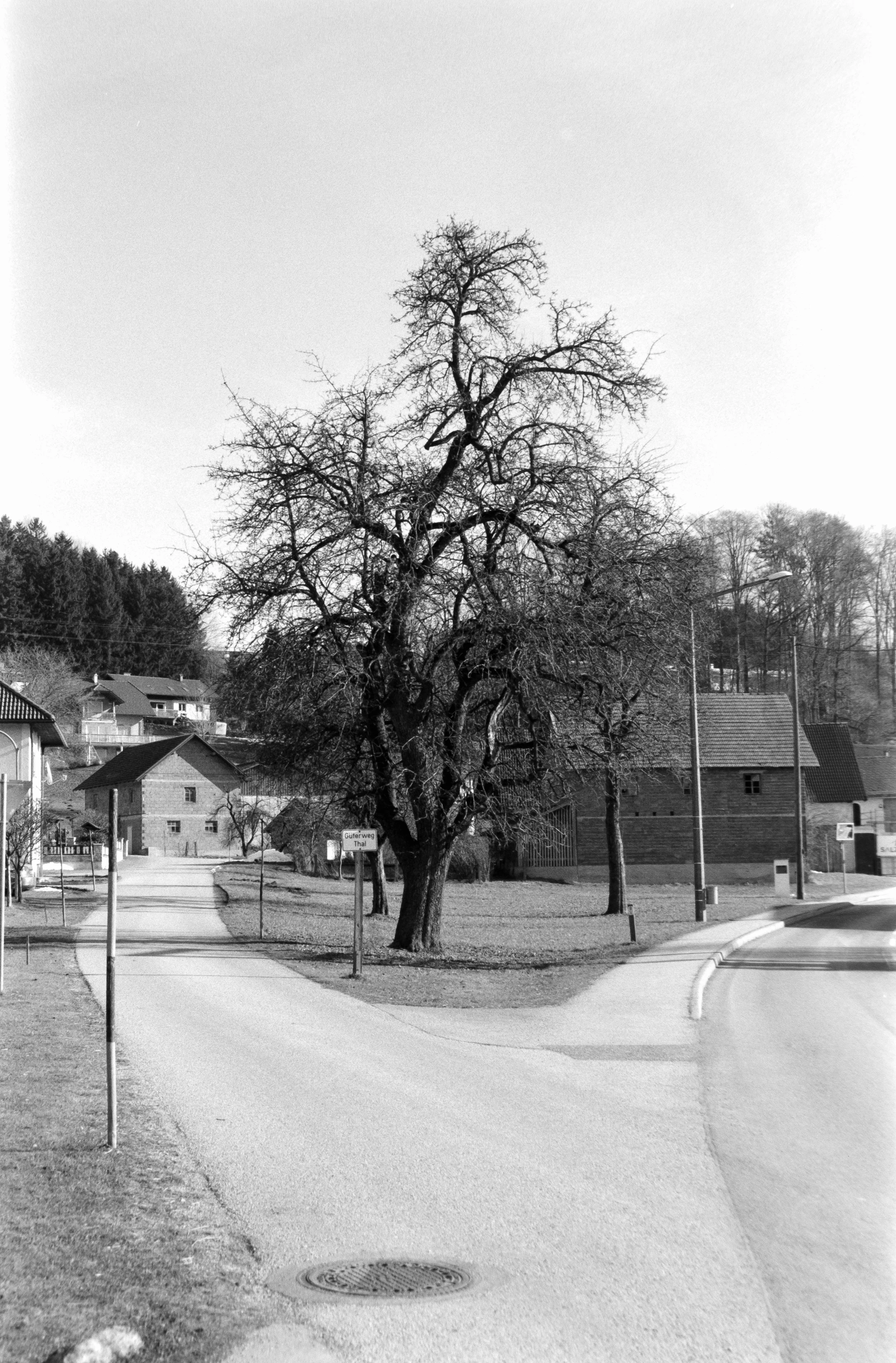 DSCF0735.jpg