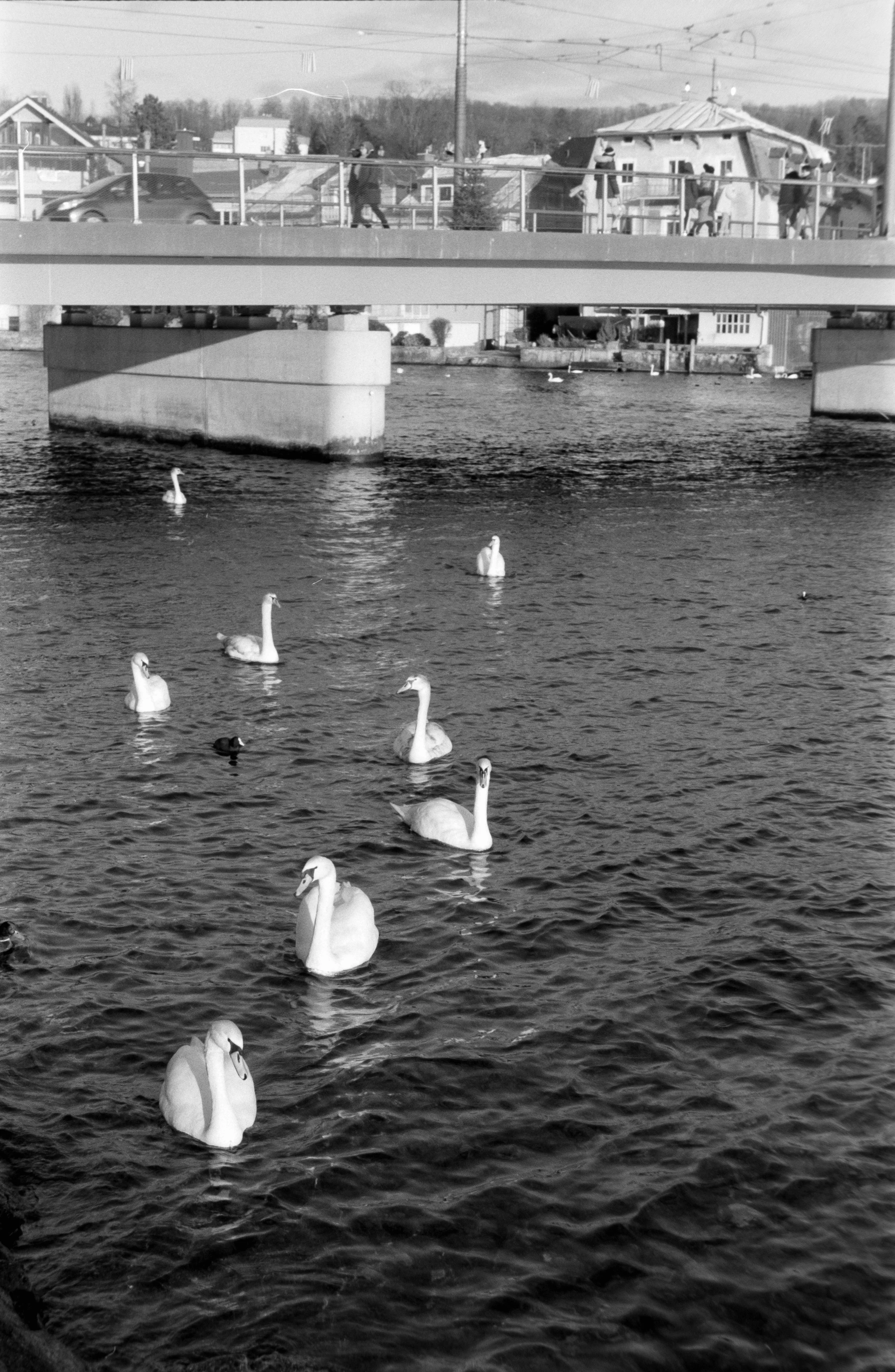 DSCF0724.jpg