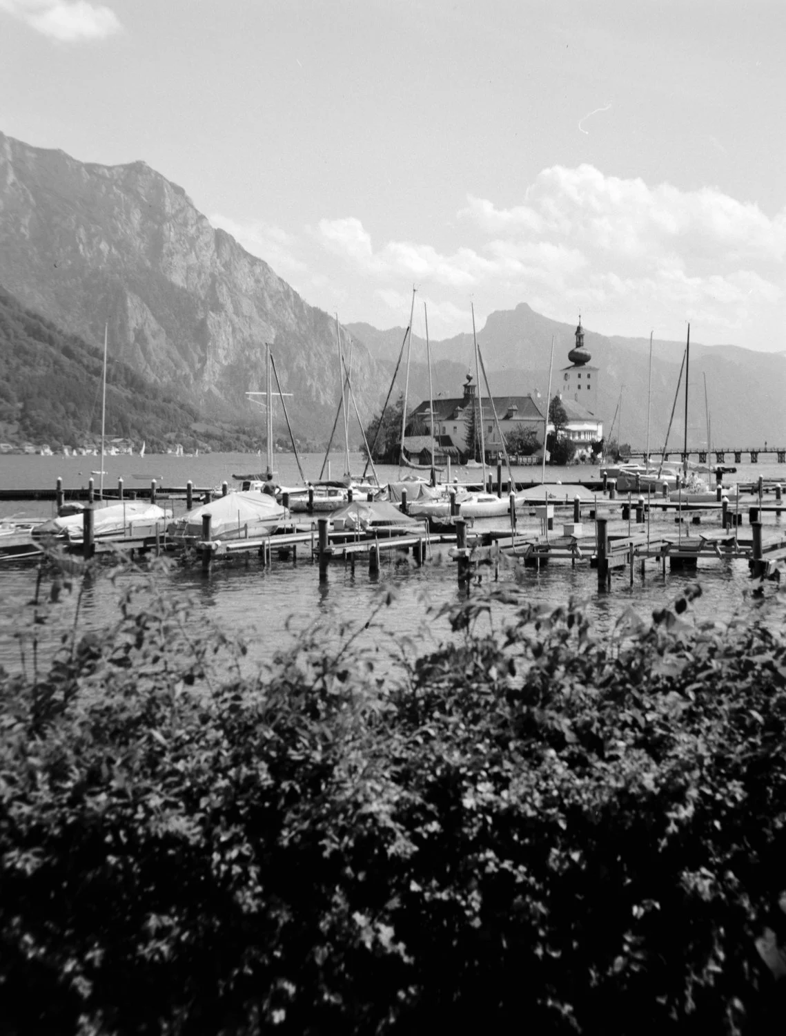 DSCF2078.jpg